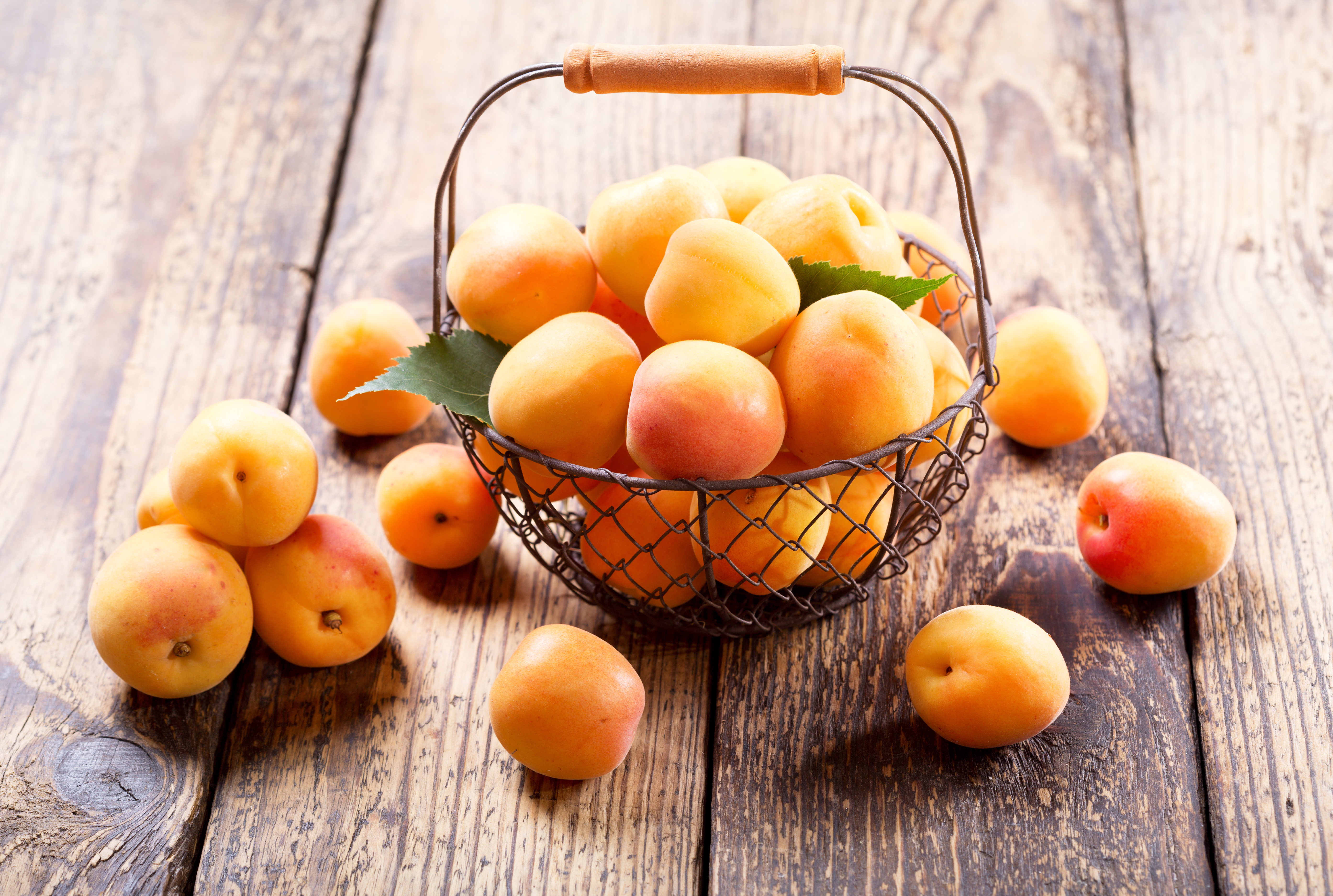 Фаст фрукт. Абрикос Фелпс. Персик и абрикос. Абрикосы медовые. Нектарин и абрикос.