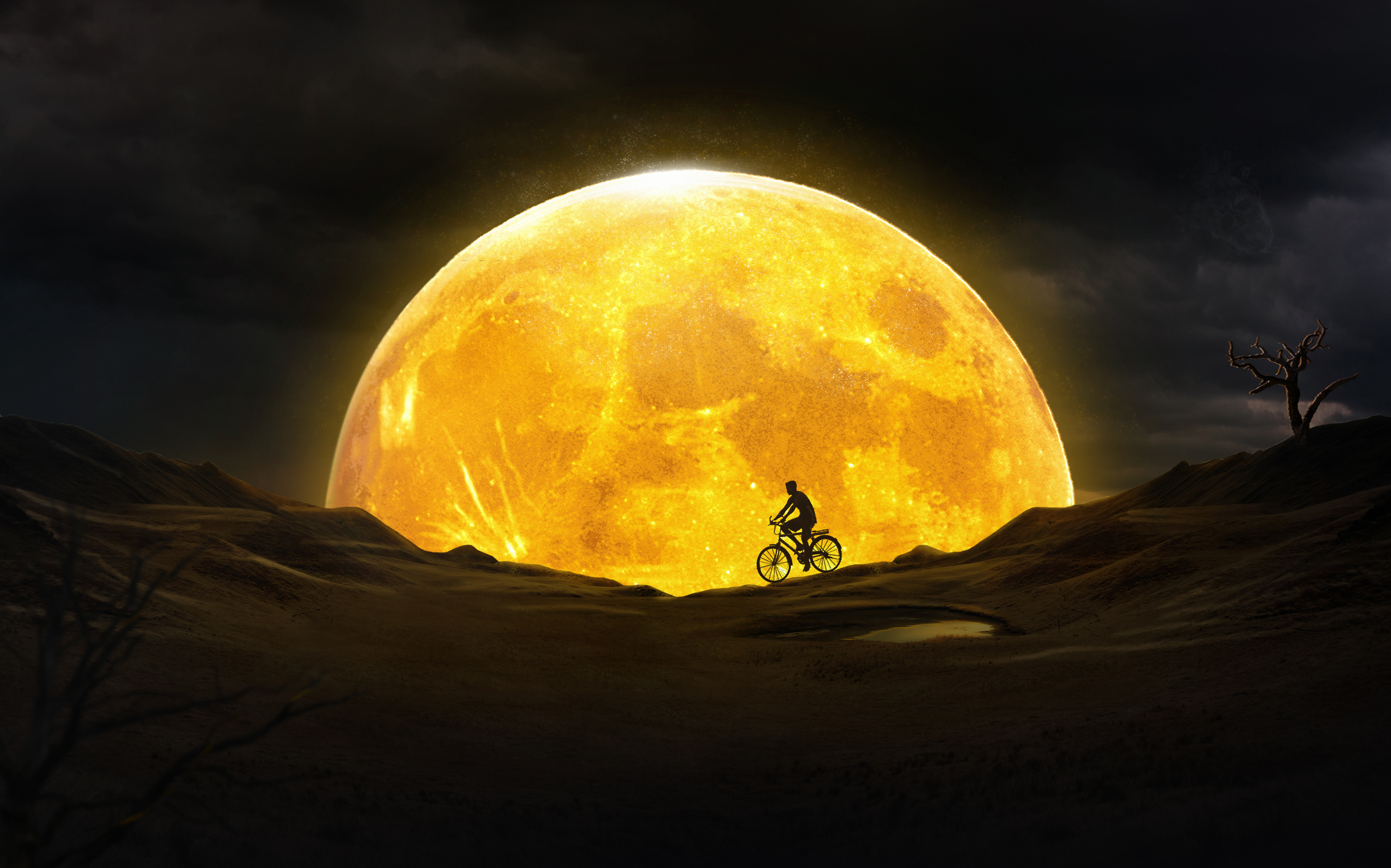 HD wallpaper night, moon, dark, silhouette, cyclist