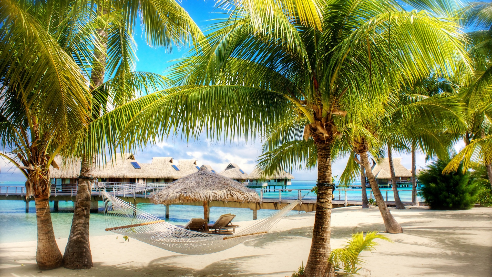 photography, holiday, beach, hammock, hut, palm tree, resort, tree, tropical QHD