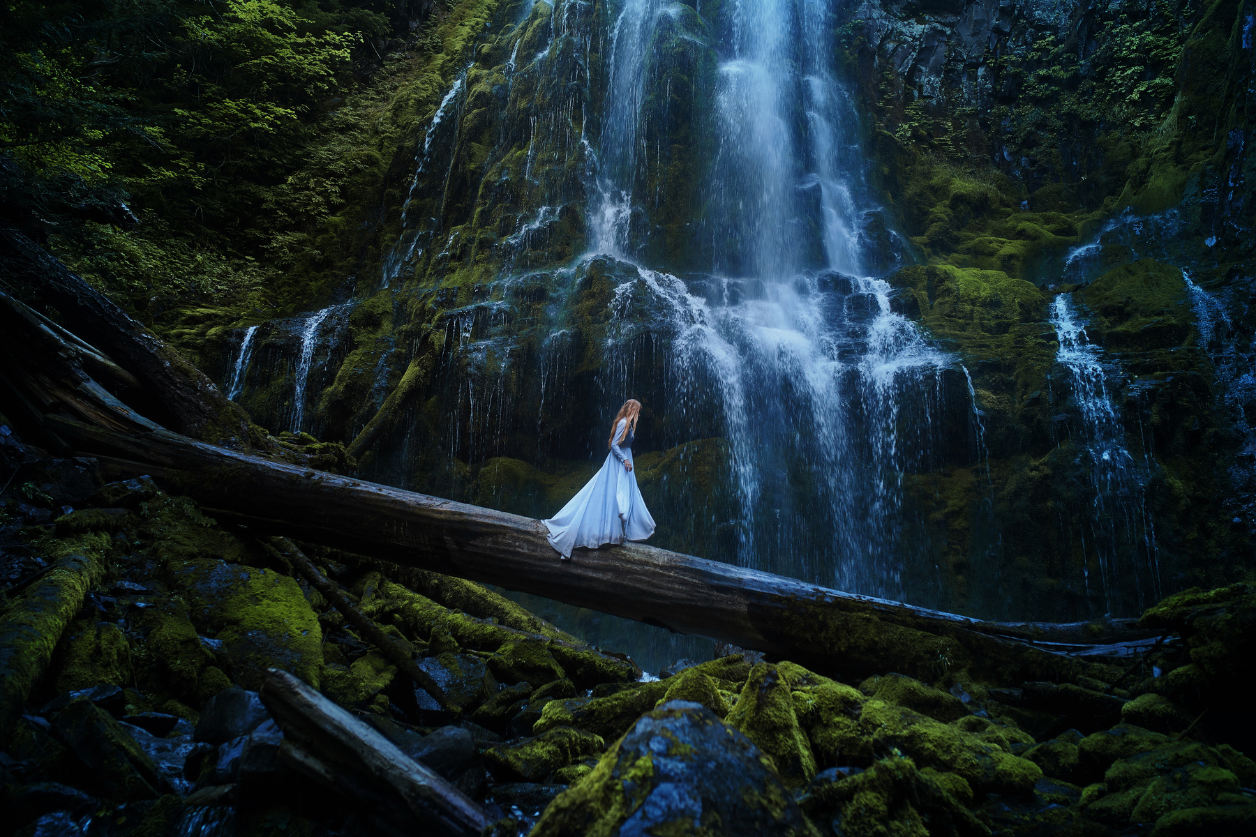 Free HD mood, women, alice in wonderland, blue dress, forest, log, waterfall