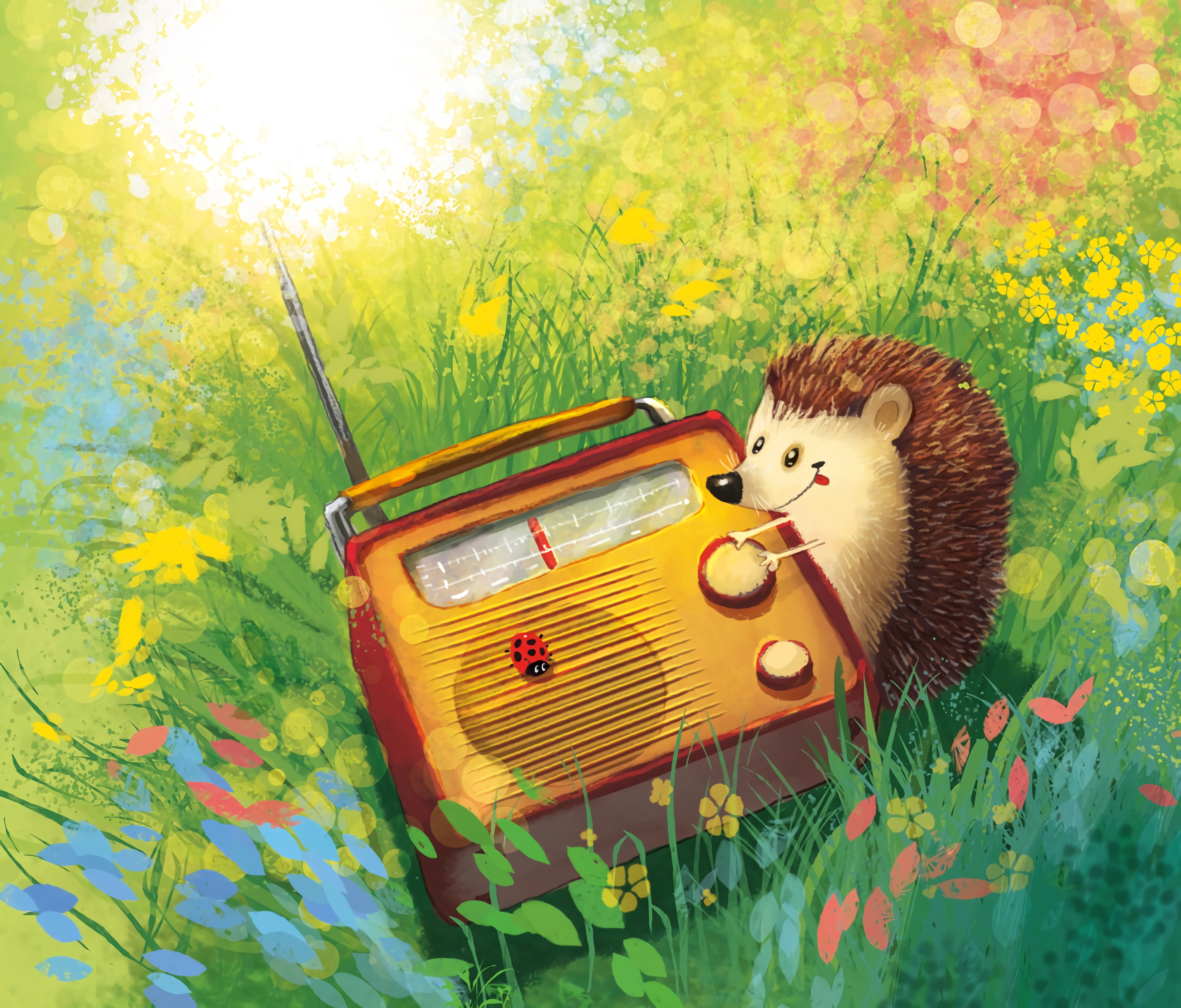 Mobile wallpaper art, radio, grass, nice, sweetheart, hedgehog