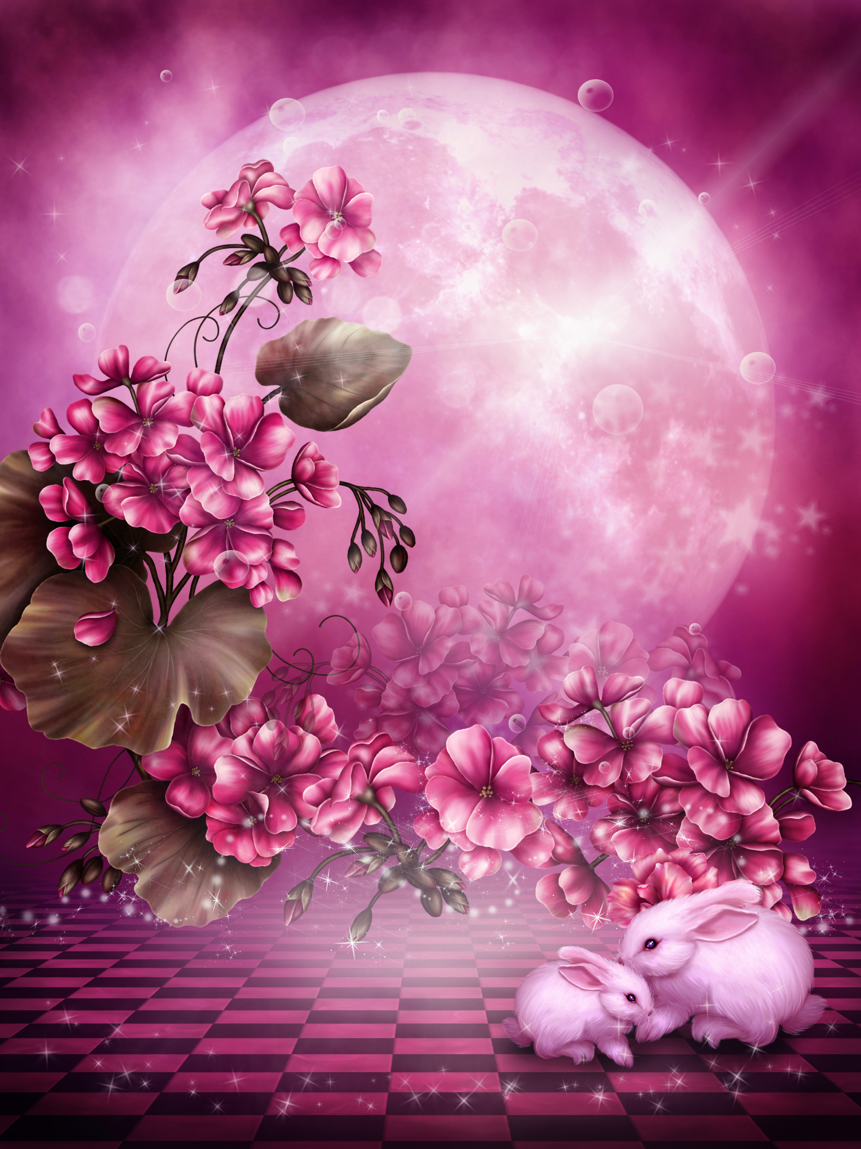 pictures, flowers, plants, rabbits, red mobile wallpaper
