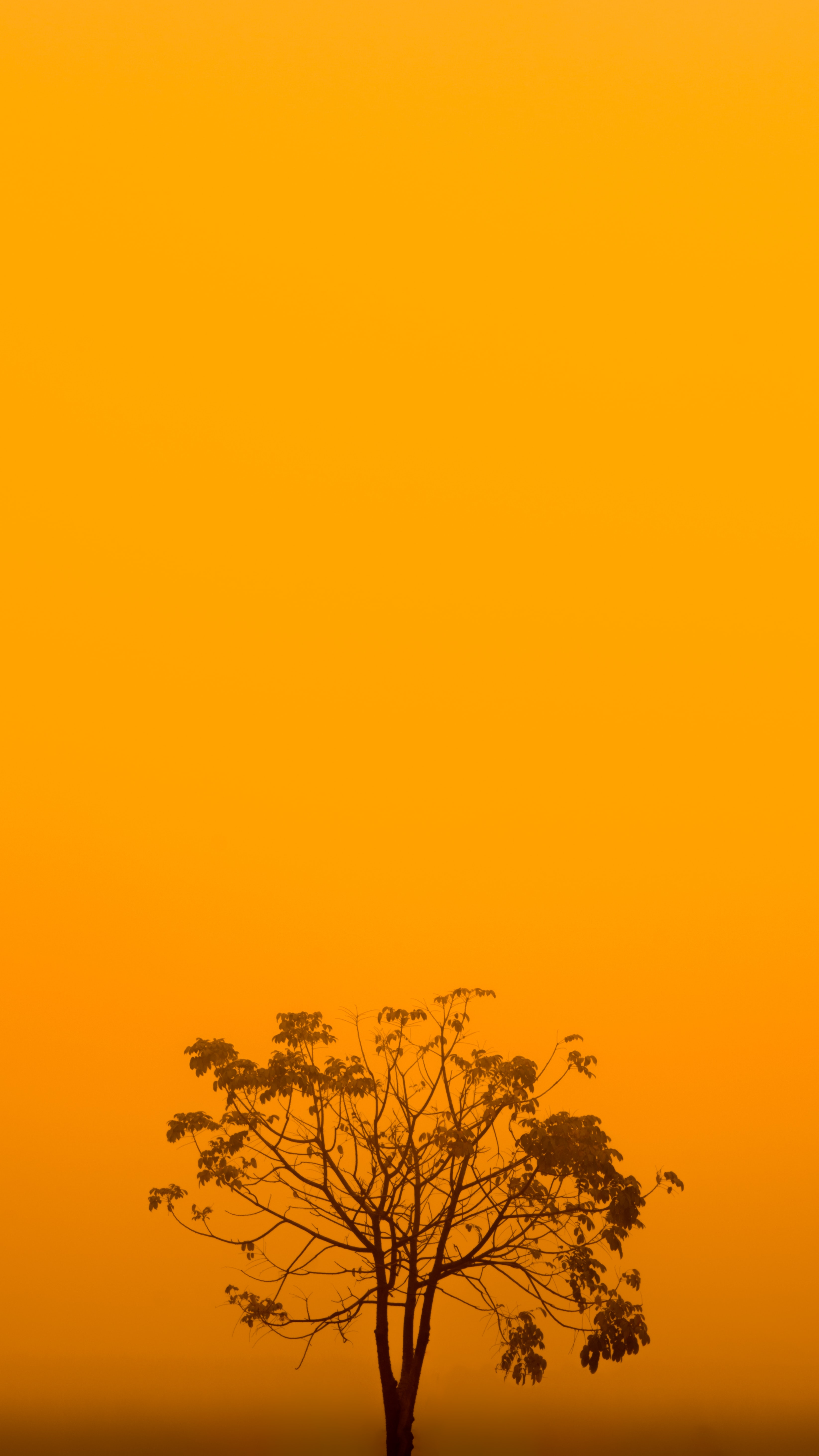 147806 free download Yellow wallpapers for phone,  Yellow images and screensavers for mobile