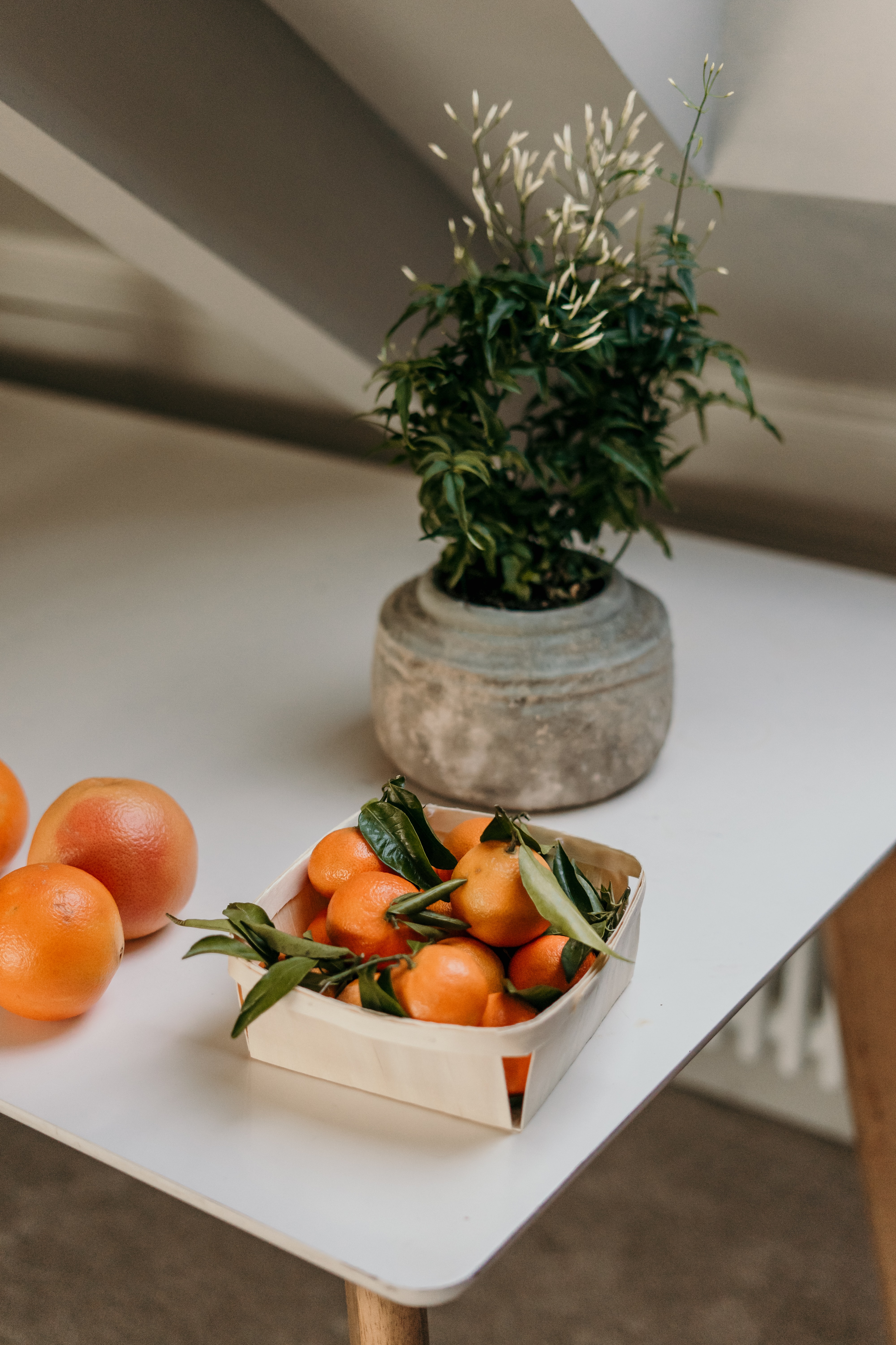 fruits, food, tangerines, flower, box, citrus High Definition image