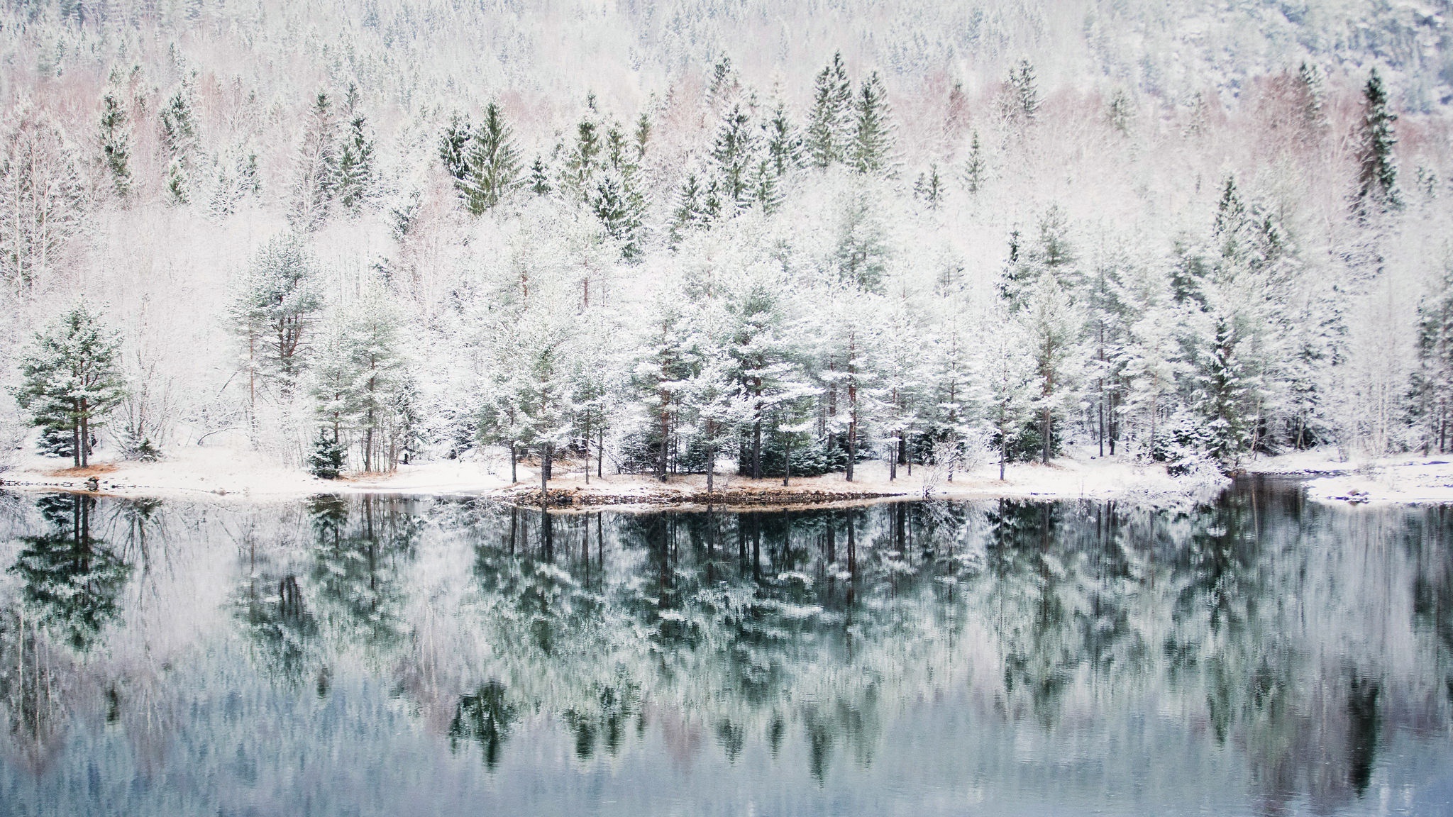 Нордическая зима природа