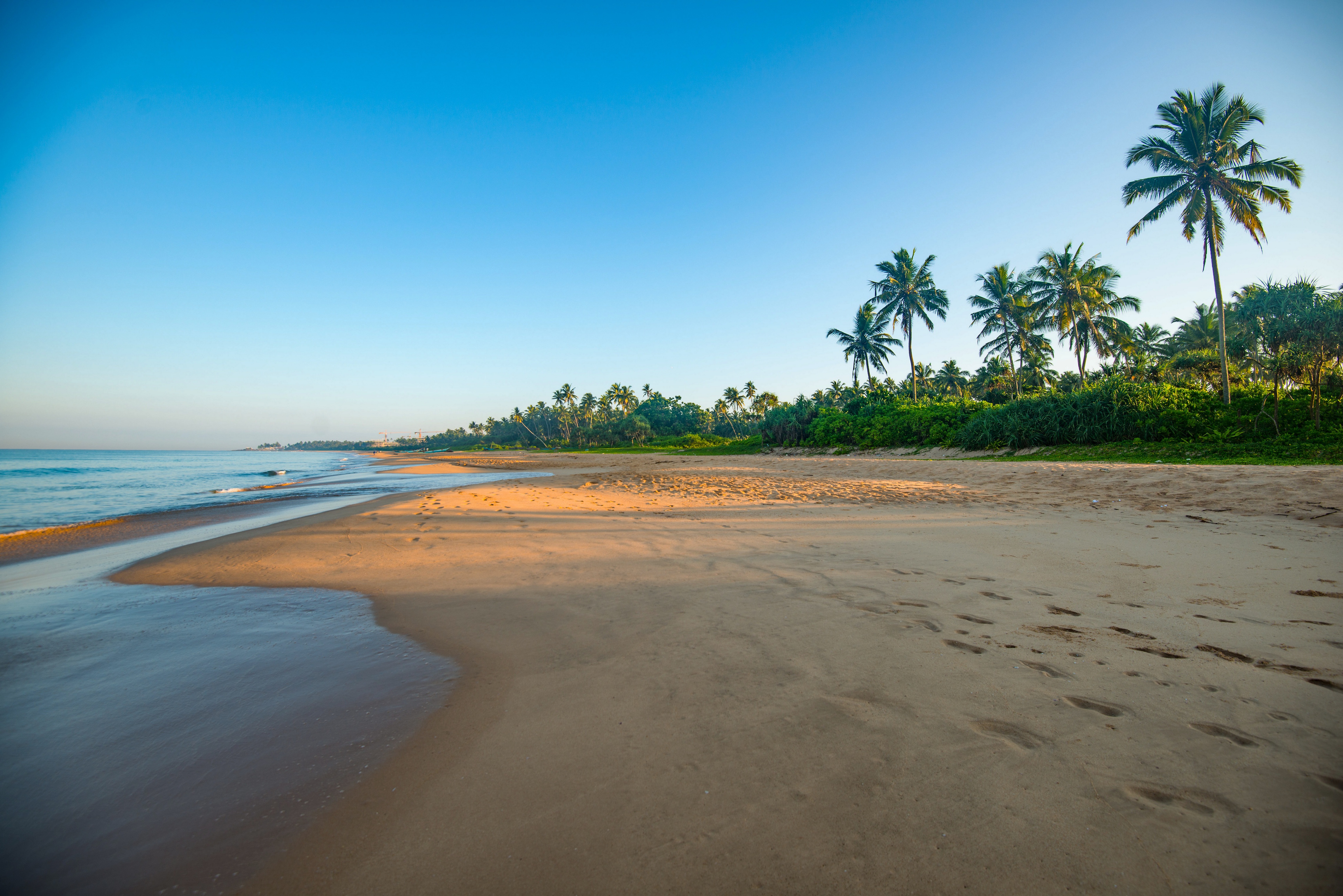 Пляж Мирисса Шри Ланка