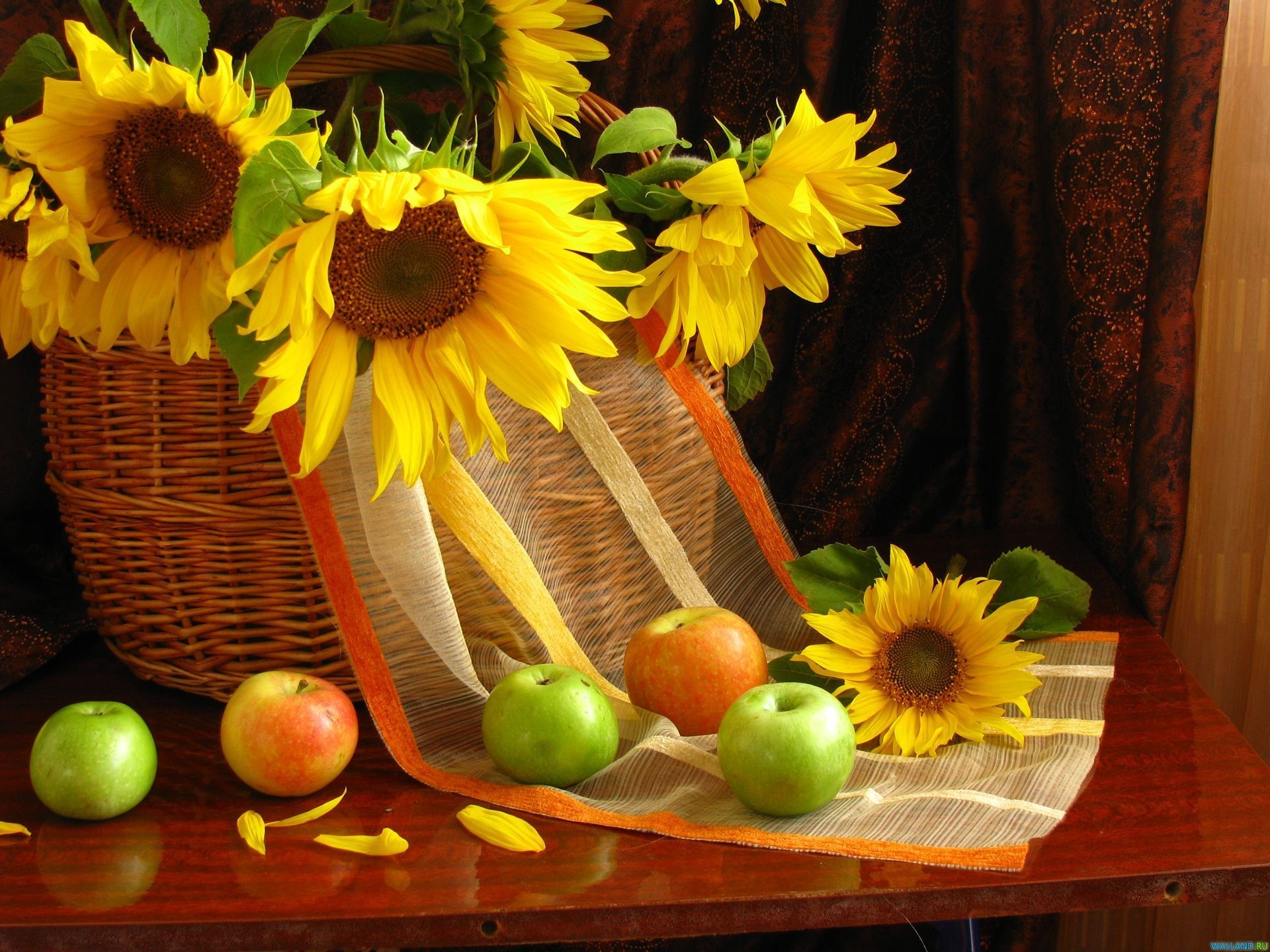 still life, flowers, sunflowers, leaves, apples, table, basket, curtains