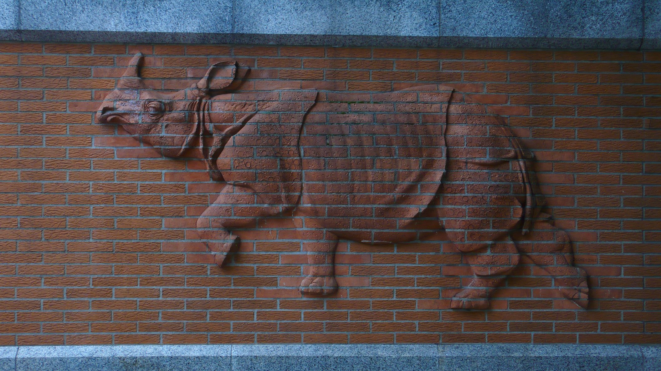 Mobile wallpaper animal, rhino