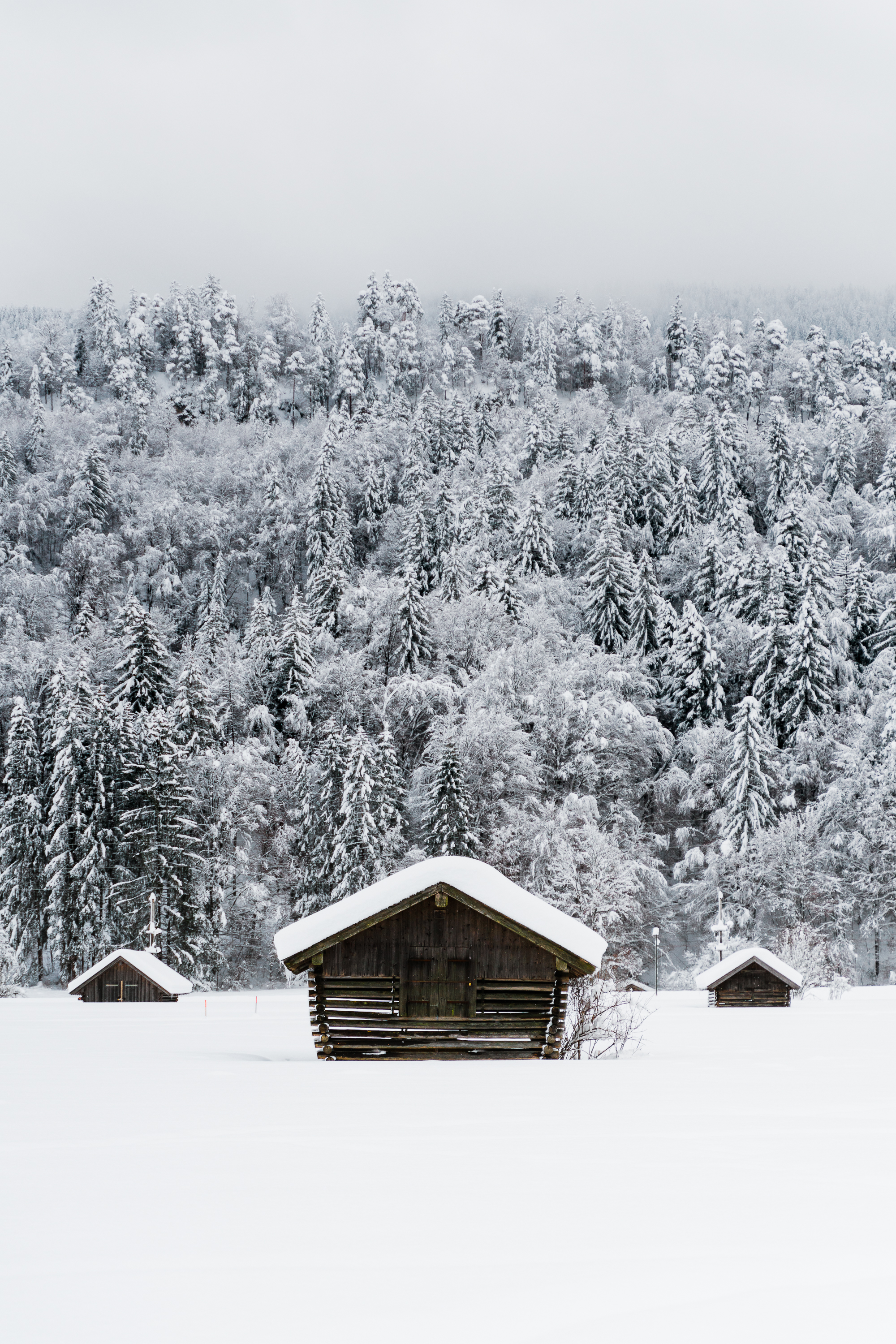 houses, winter, nature, snow, forest, small houses