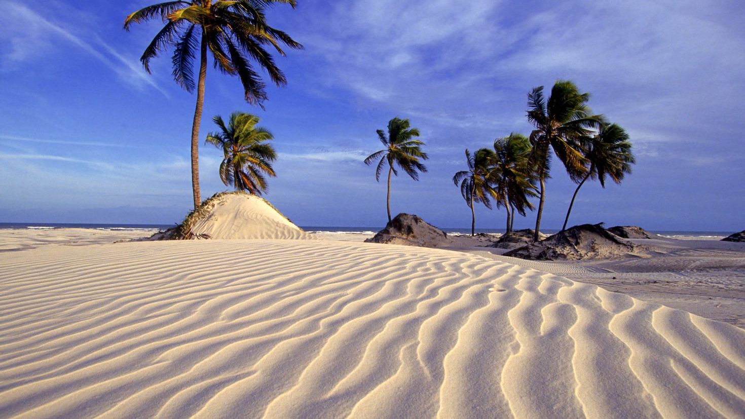 Море пальмы белый песок