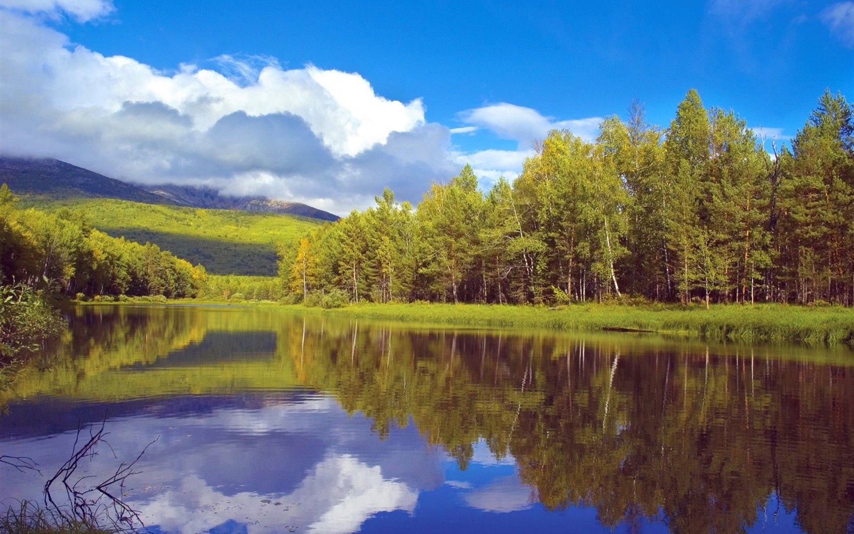 trees, nature, sky, clouds, lake, reflection, shore, bank, forest, siberia 4K
