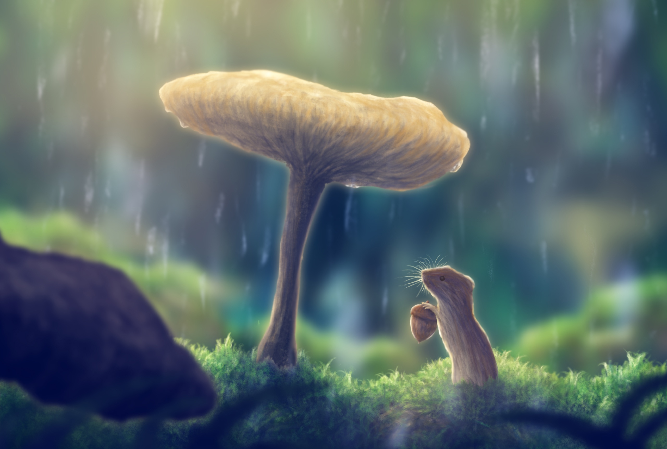 Картинка грибы под деревом