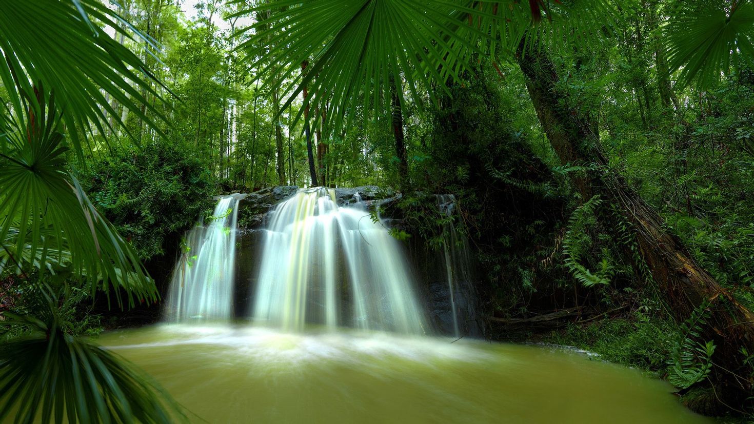 Обои стола 1366. Тропики лес водопад. Живая природа водопады. Красивая природа джунгли. Экзотическая природа.