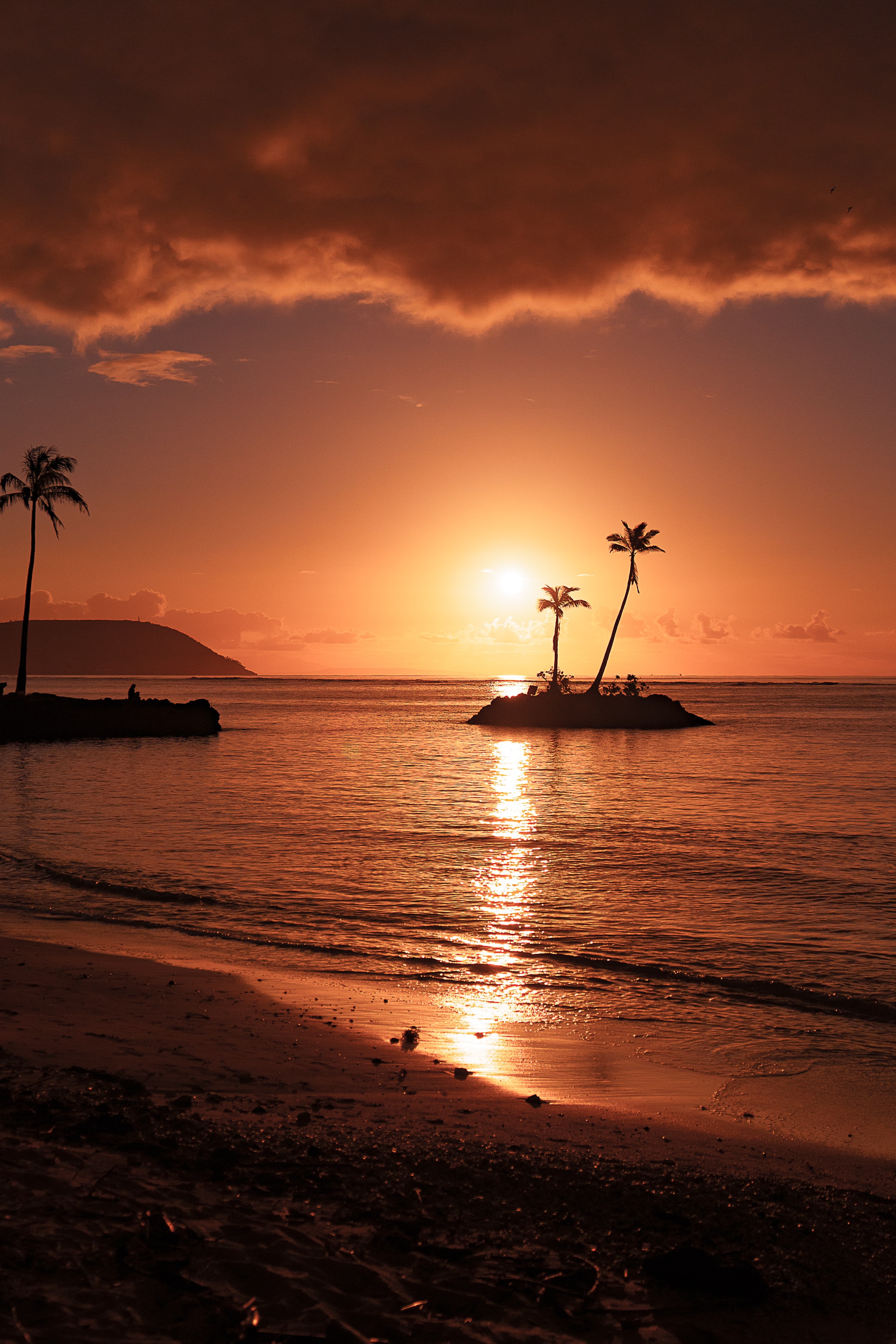 beach, sea, nature, sunset, palms, island Free Stock Photo