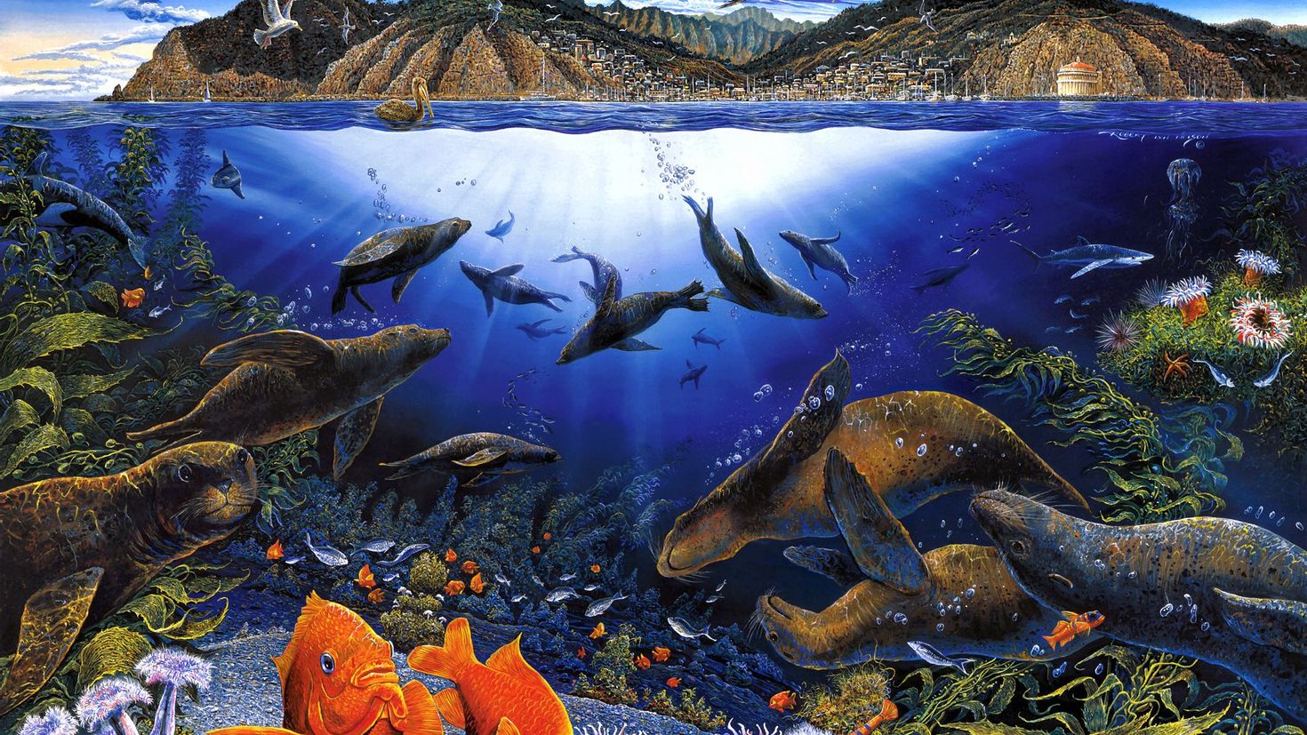 Жизнь морского океана. Обитатели морского дна. Картина Морское дно. Подводные пейзажи. Обитатели рек морей и океанов.