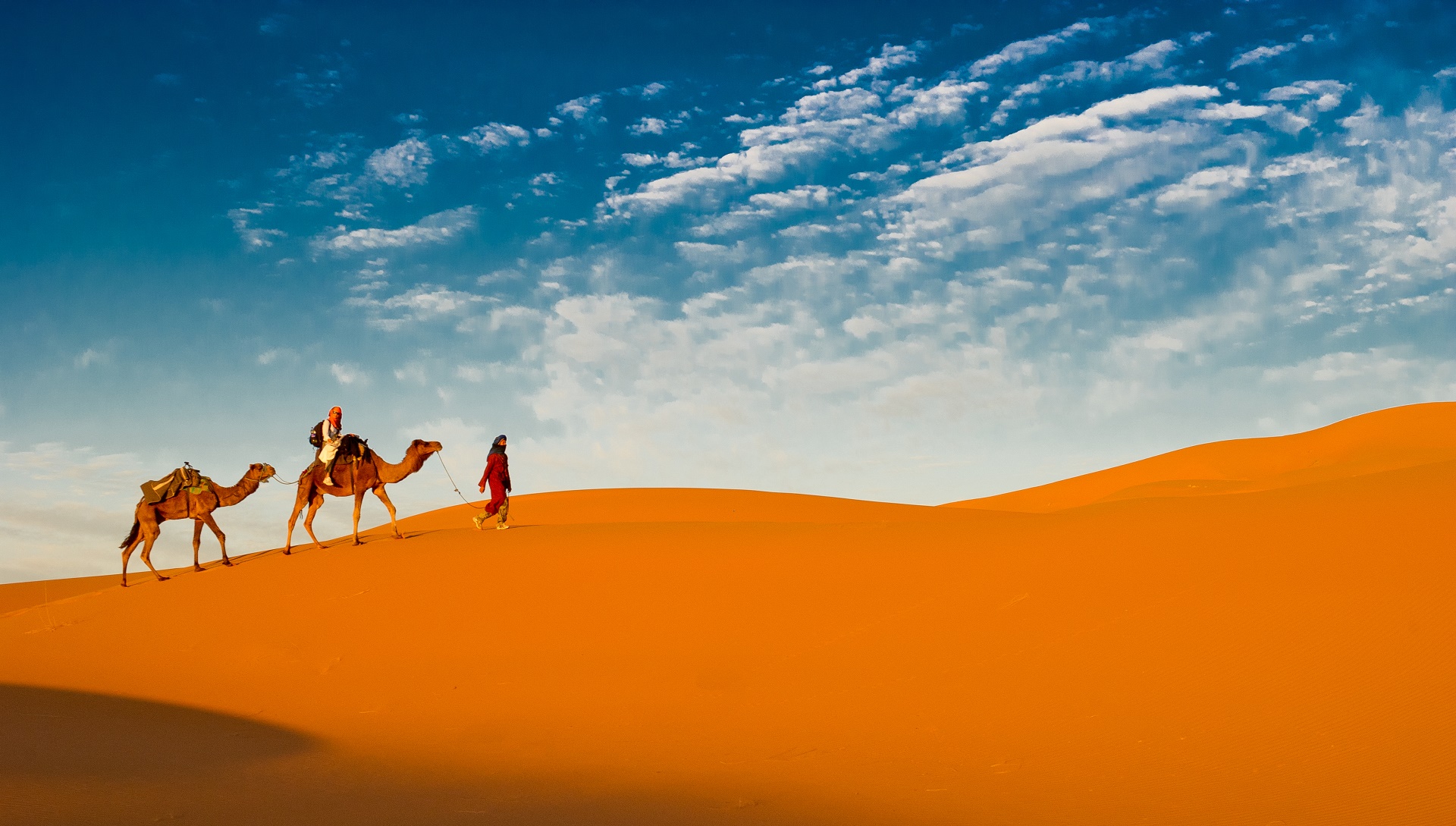 763479 descargar fondo de pantalla fotografía, caravana, camello, desierto: protectores de pantalla e imágenes gratis