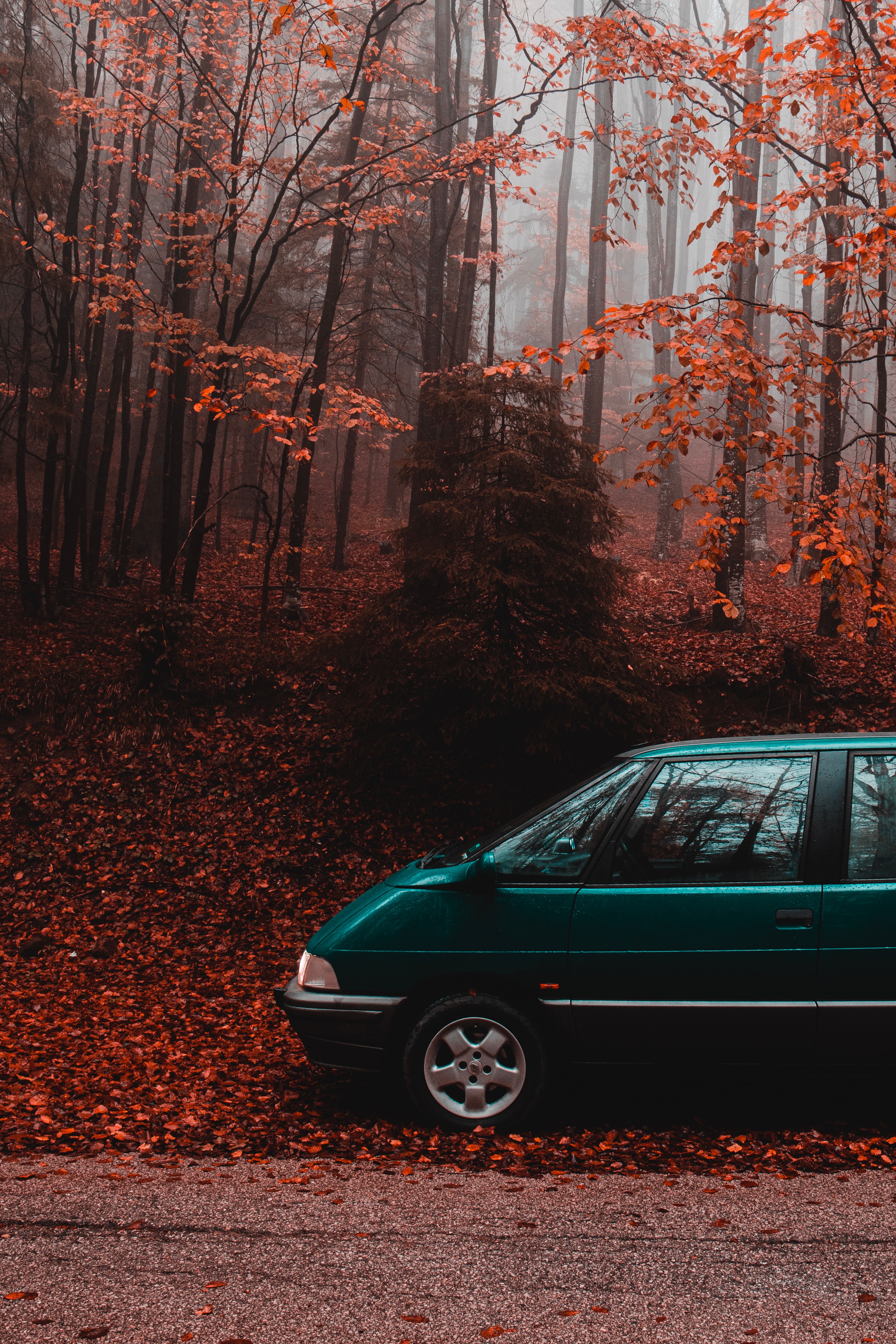 autumn, van, cars, forest, car