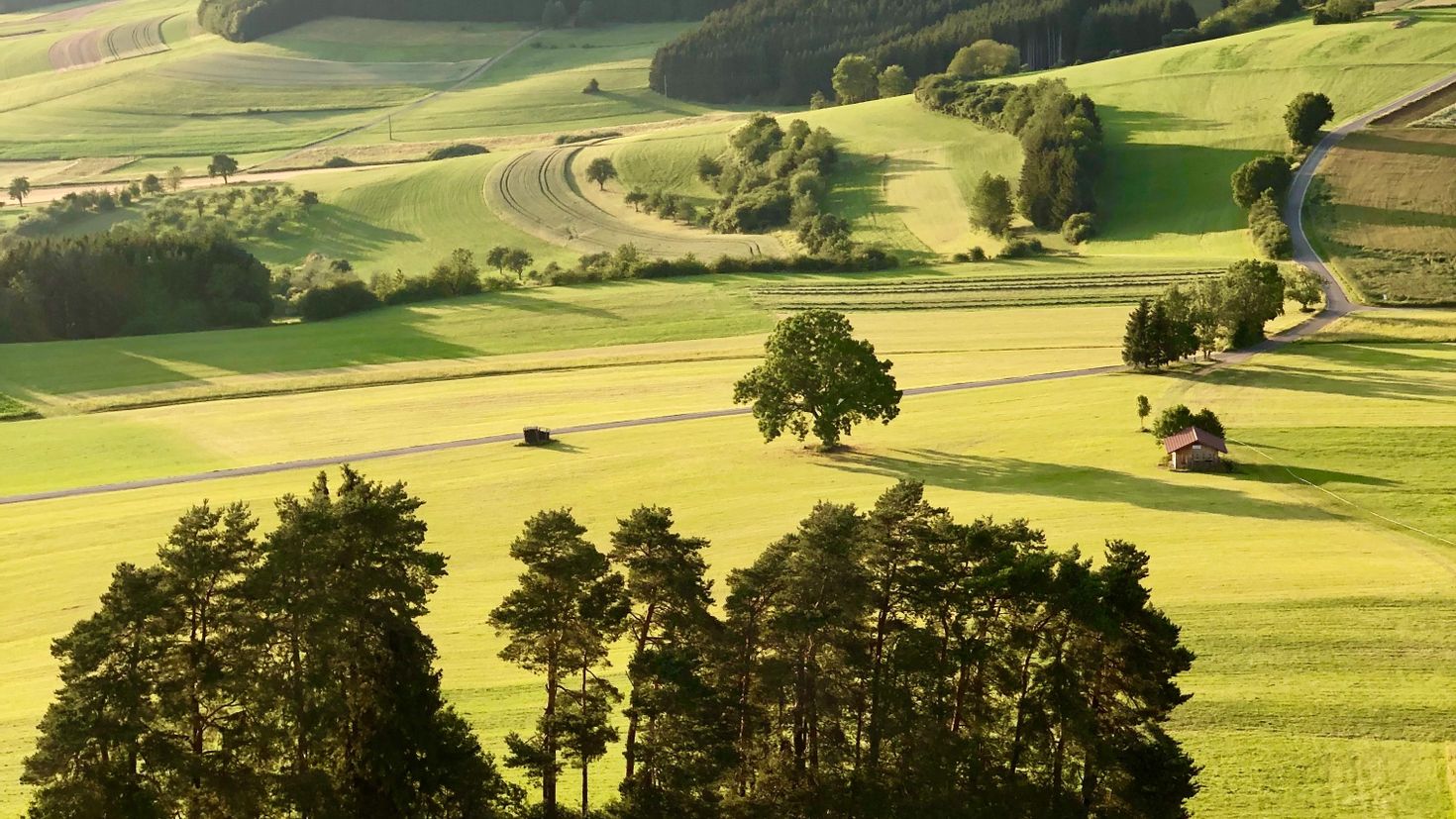 Виды простору. Холмистая равнина Тоскана. Беркширские холмы Англия. Зеленые холмы Смоленск. Природа.