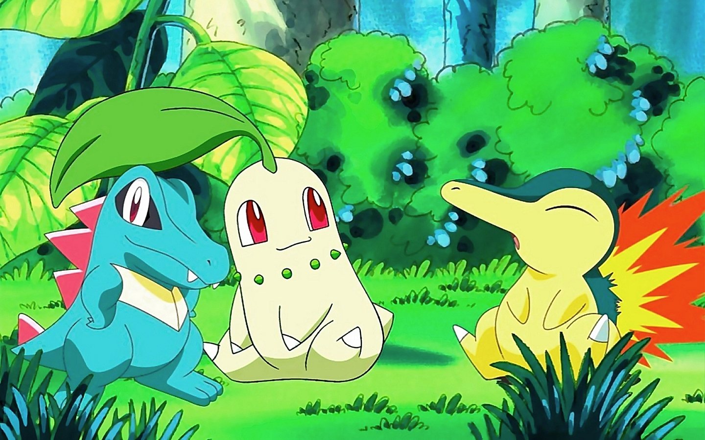 Chikorita - Pokemon & Anime Background Wallpapers on Desktop Nexus (Image  216781)