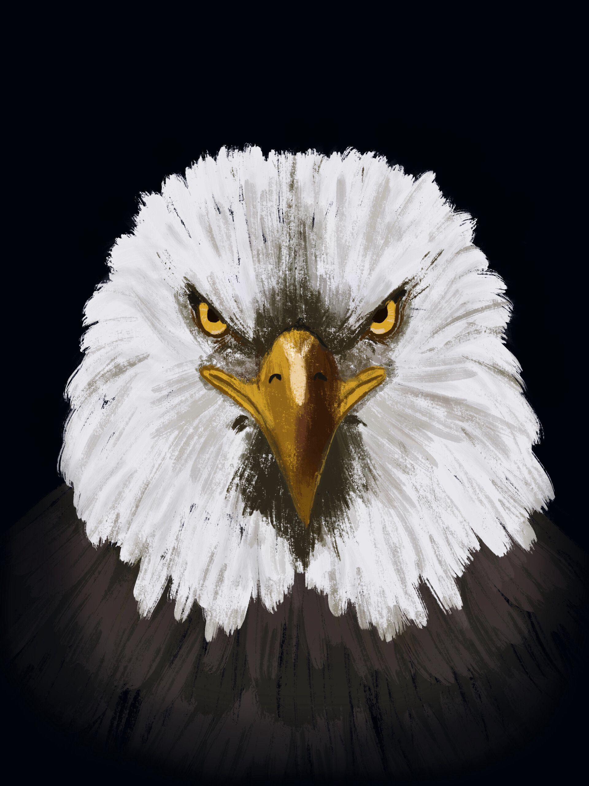Download mobile wallpaper Head, Bird, Eagle, Art for free.