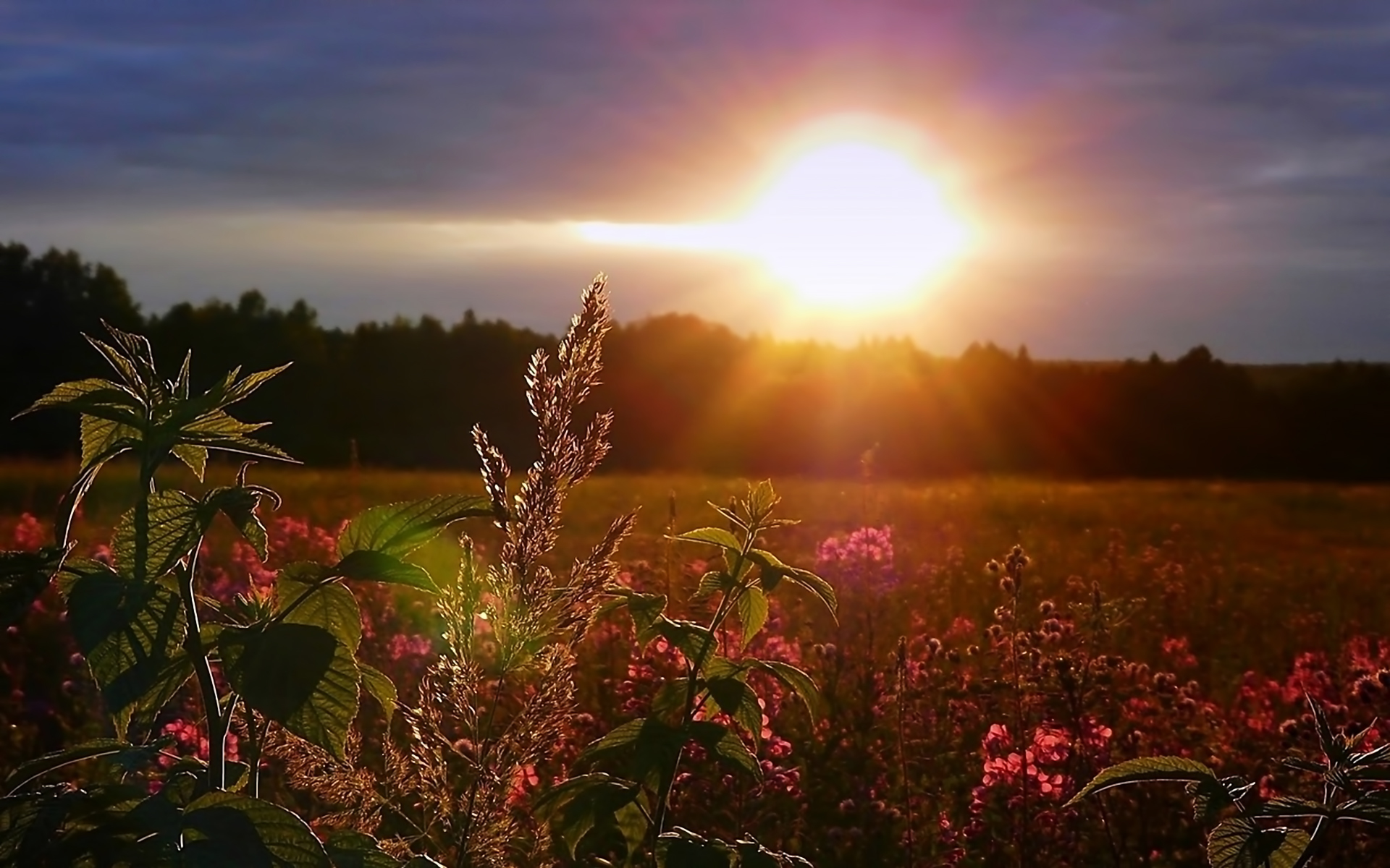 Free download wallpaper Sunset, Nature, Landscape on your PC desktop