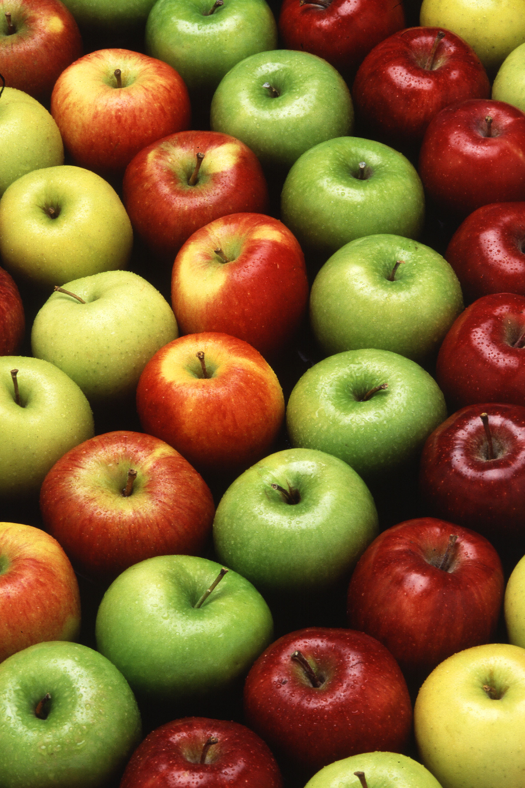 apples, food, multicolored, motley, wet, ripe 4K