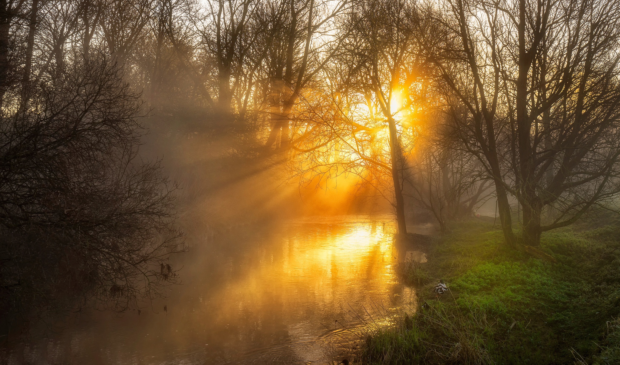 Текст стояла осень в солнце и туманах. Sunbeams Sunrise. Sunbeams PNG.