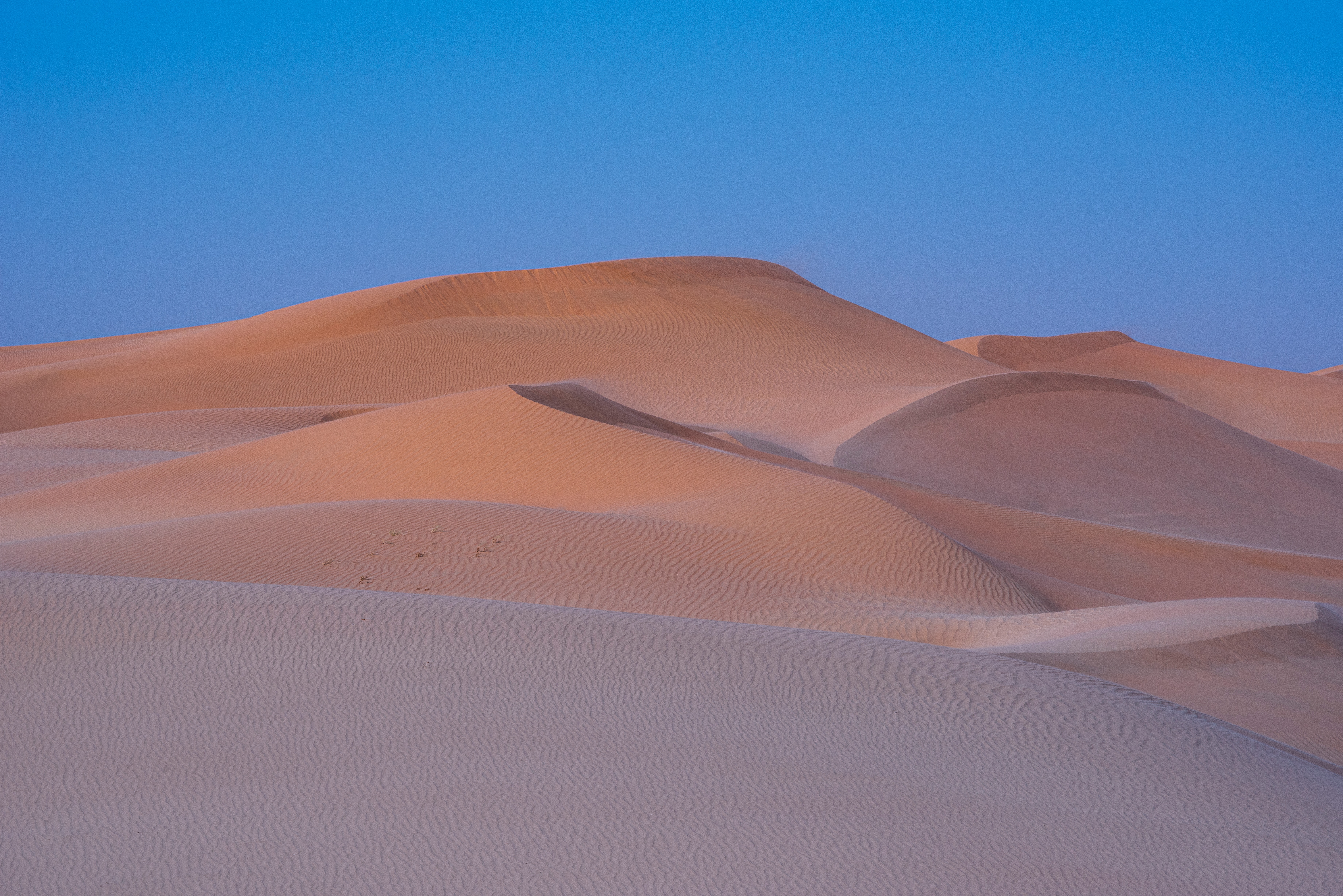 Скачать картинку Дюна, Пустыня, Песок, Природа в телефон бесплатно.