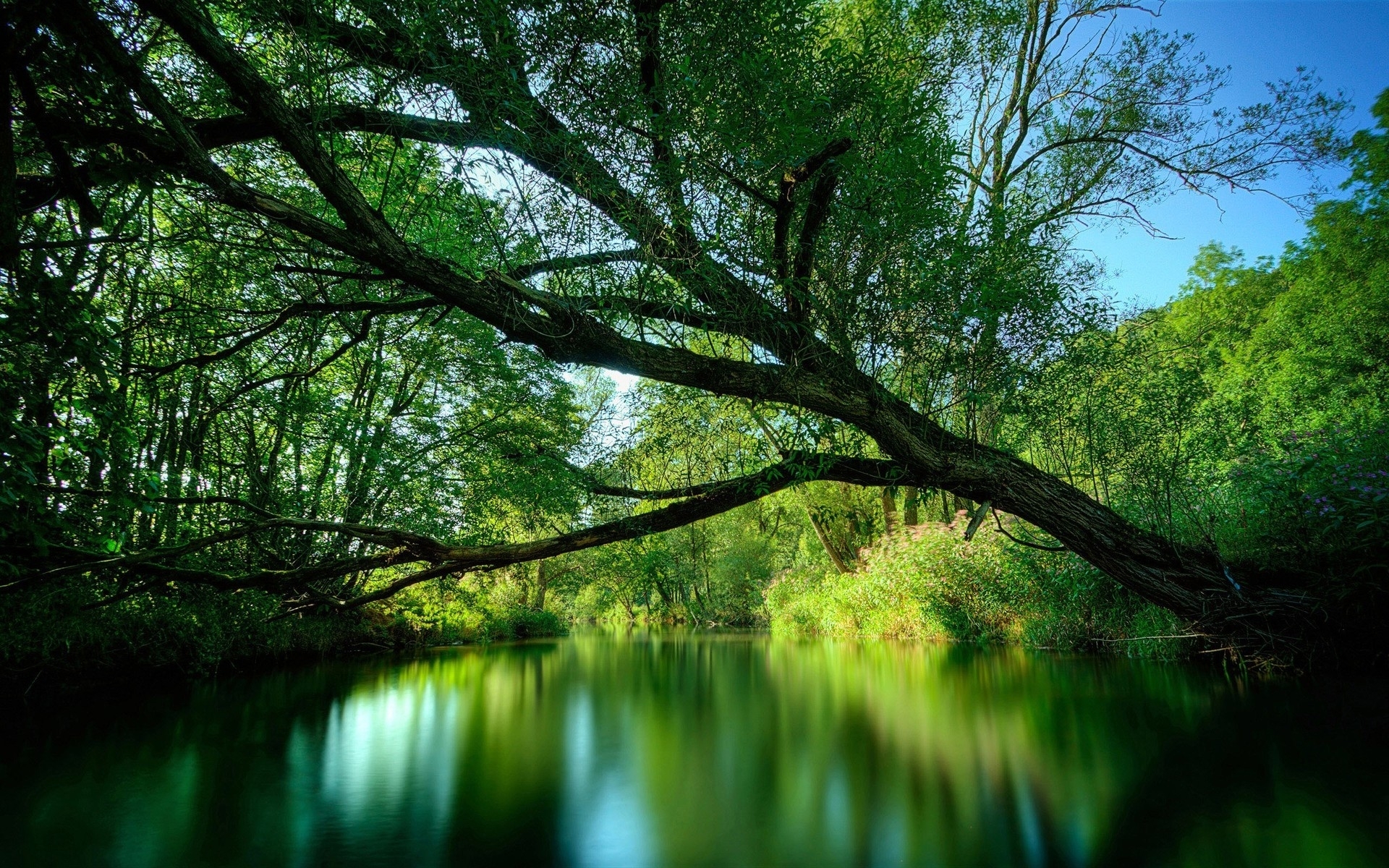 PCデスクトップに川, 木, 風景画像を無料でダウンロード