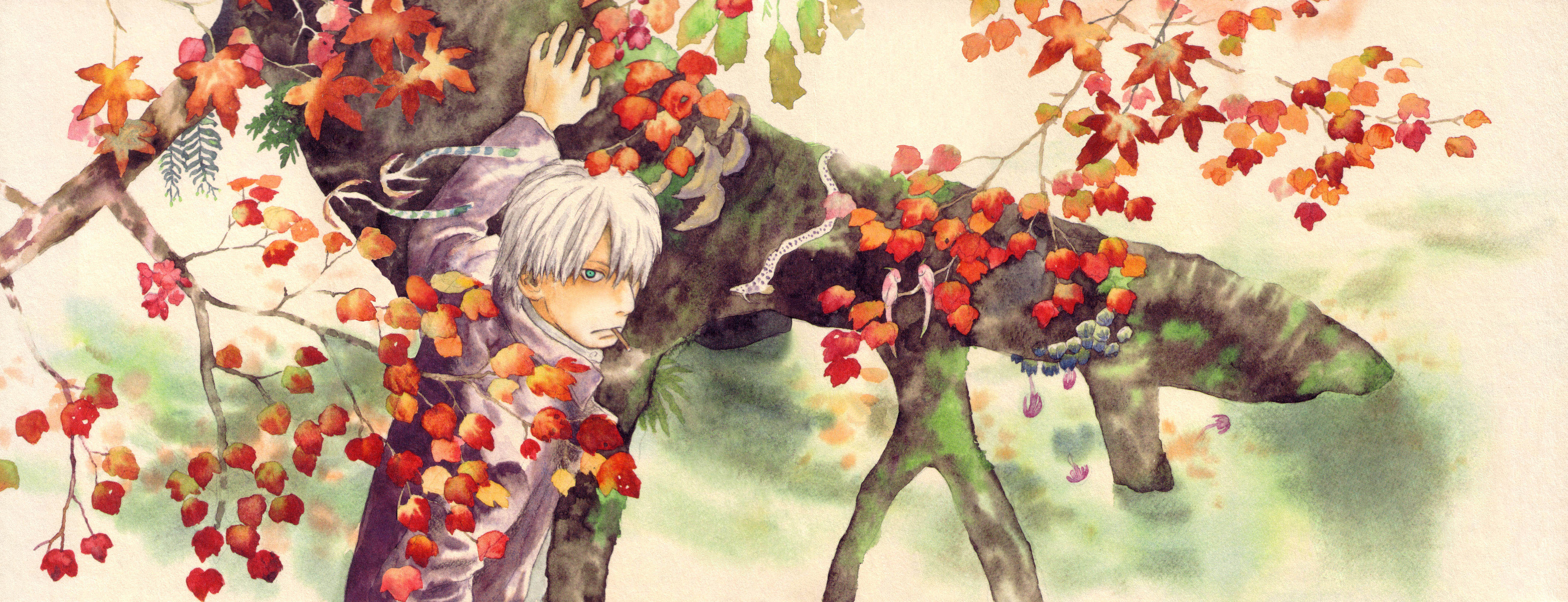 Mushishi манга скачать фото 4