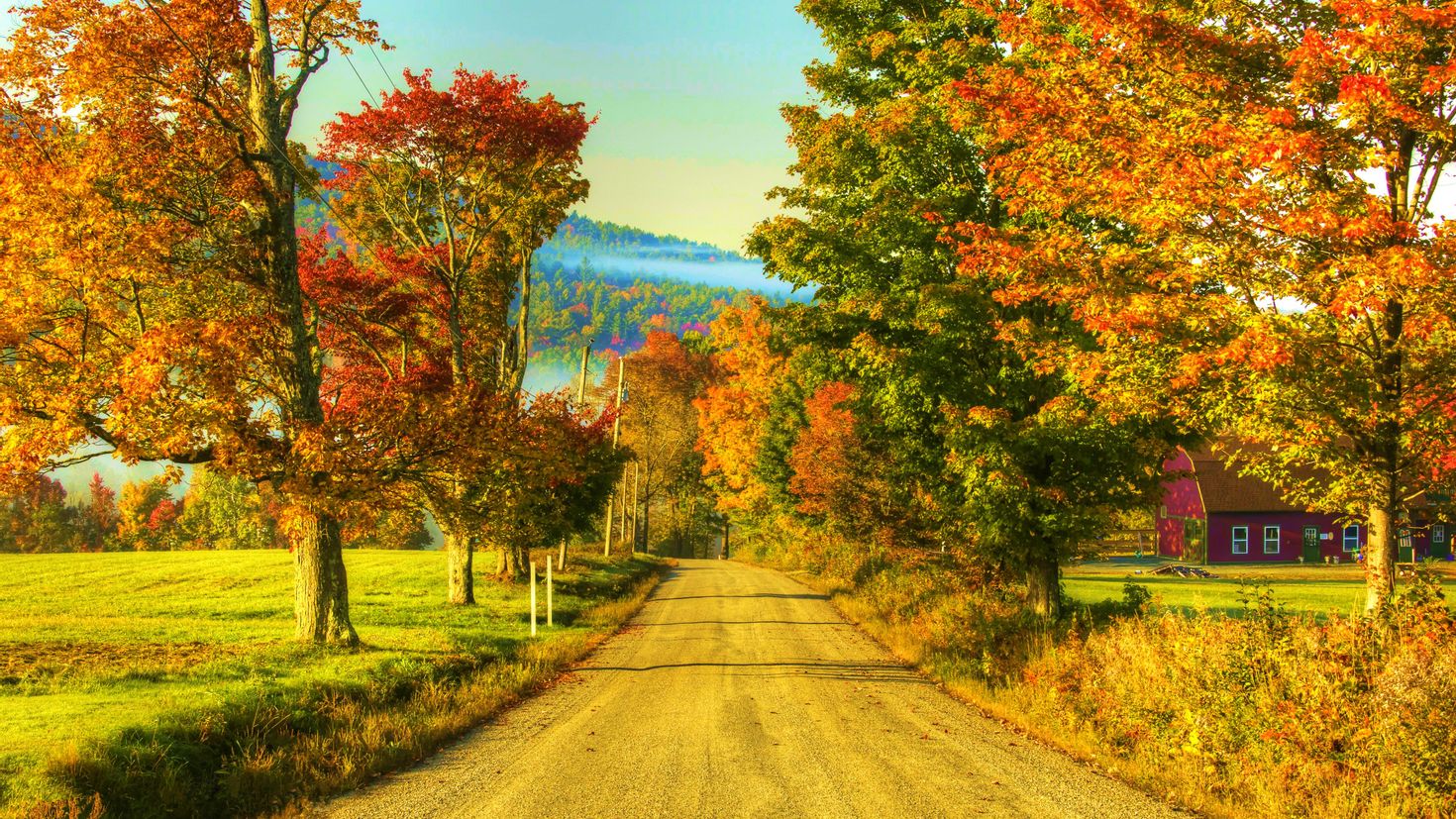 Картинка времена года осень. Штат Вермонт природа. Штат Вермонт дерево. Осенний пейзаж. Ранняя осень.