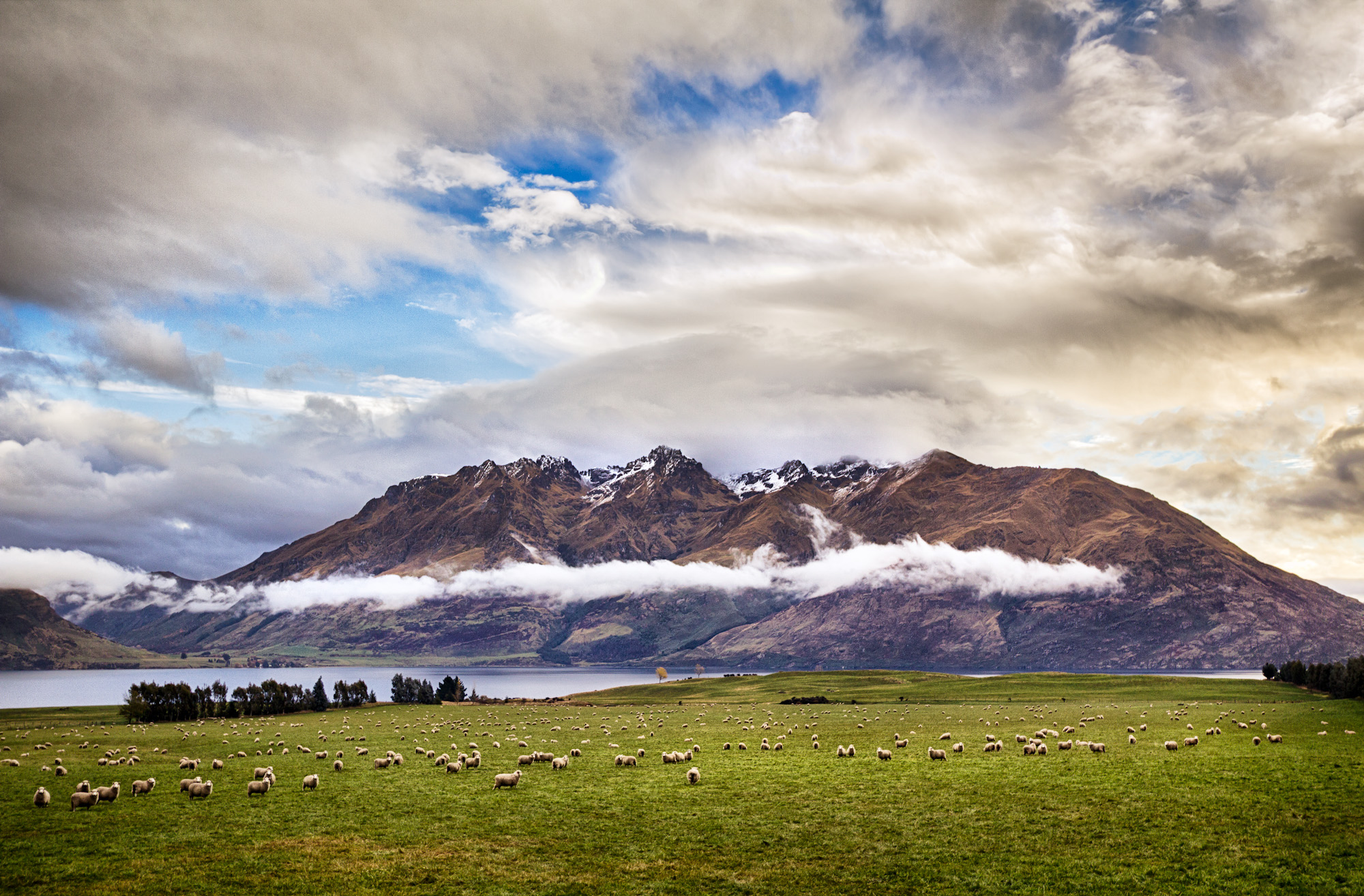 387003 скачать картинку земля/природа, гора, облака, ландшафт, природа, новая зеландия, овца, горы - обои и заставки бесплатно
