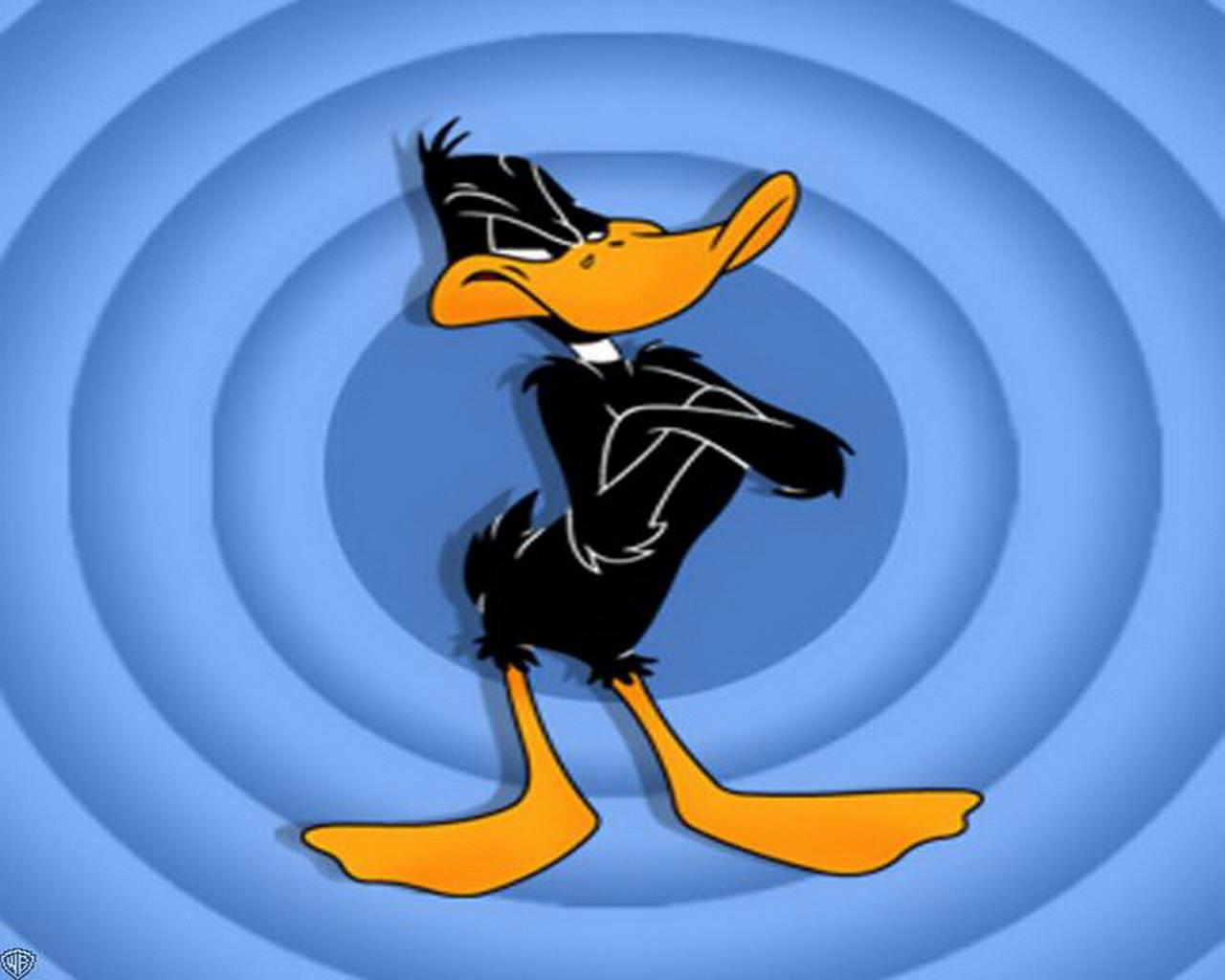 looney tunes, daffy duck, tv show 32K