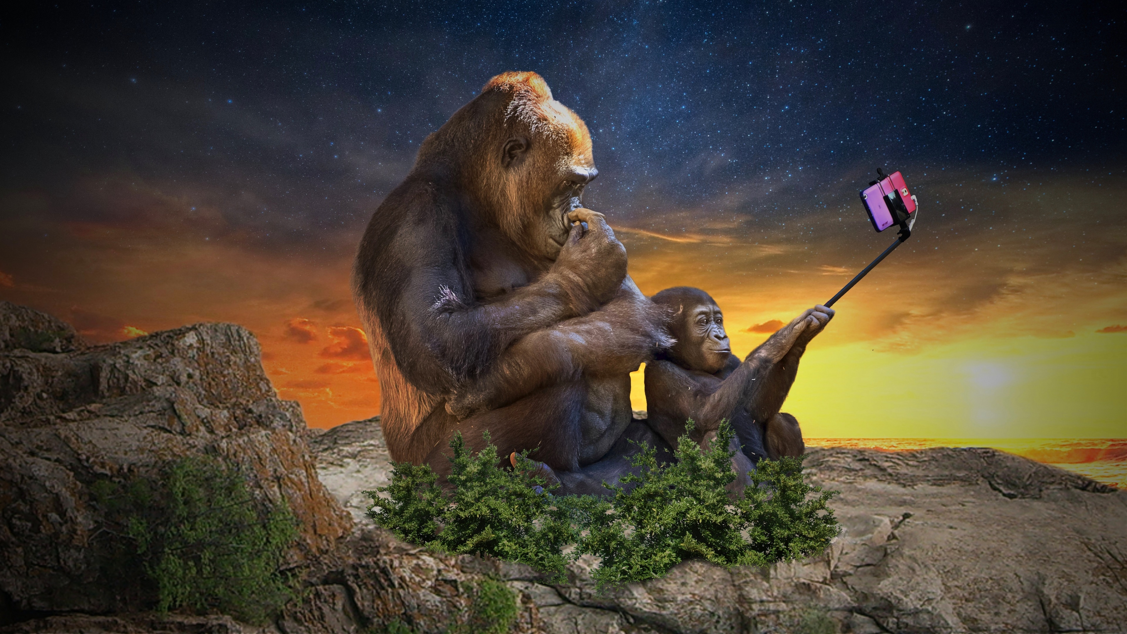 953309 скачать обои юмор, животное, горилла, селфи - заставки и картинки бесплатно