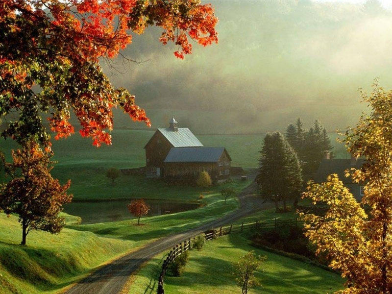 Скачать картинку Пейзаж, Осень в телефон бесплатно.