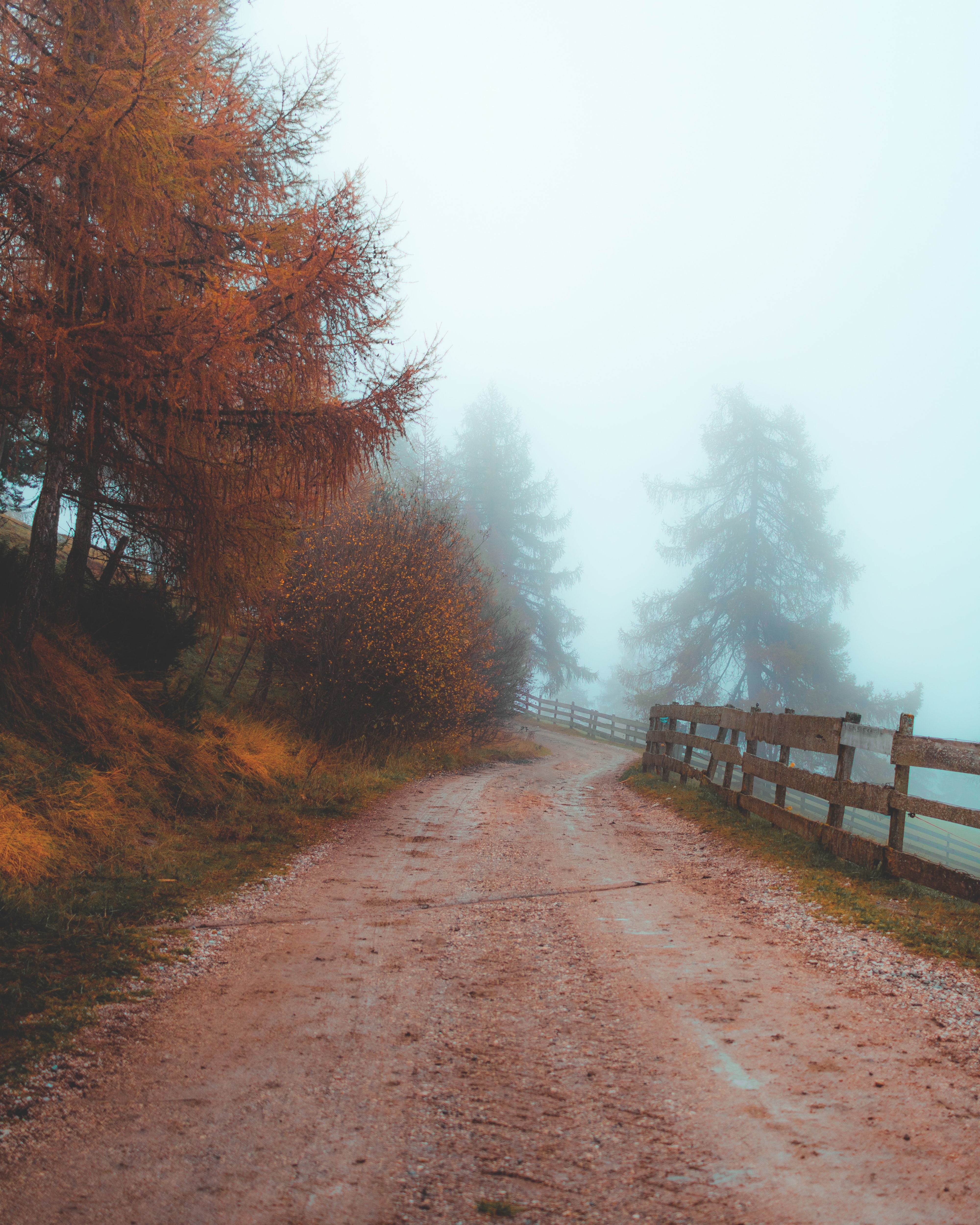 nature, road, fog, fence, dahl, distance Smartphone Background