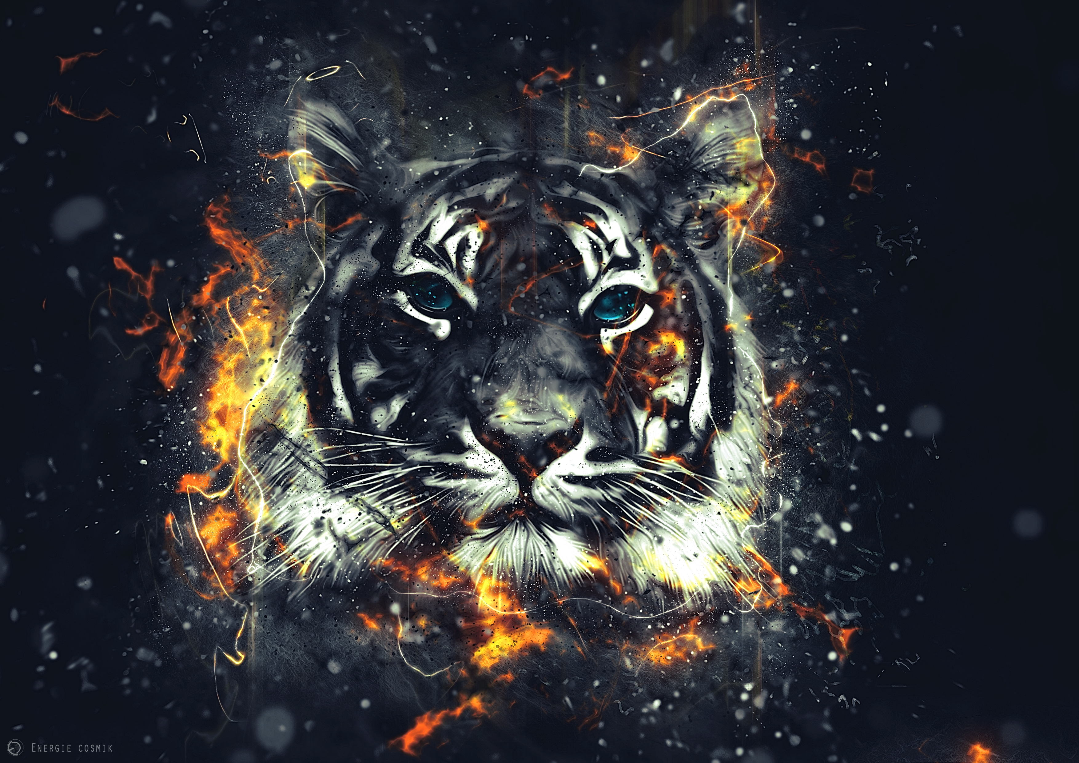 Free HD Tiger