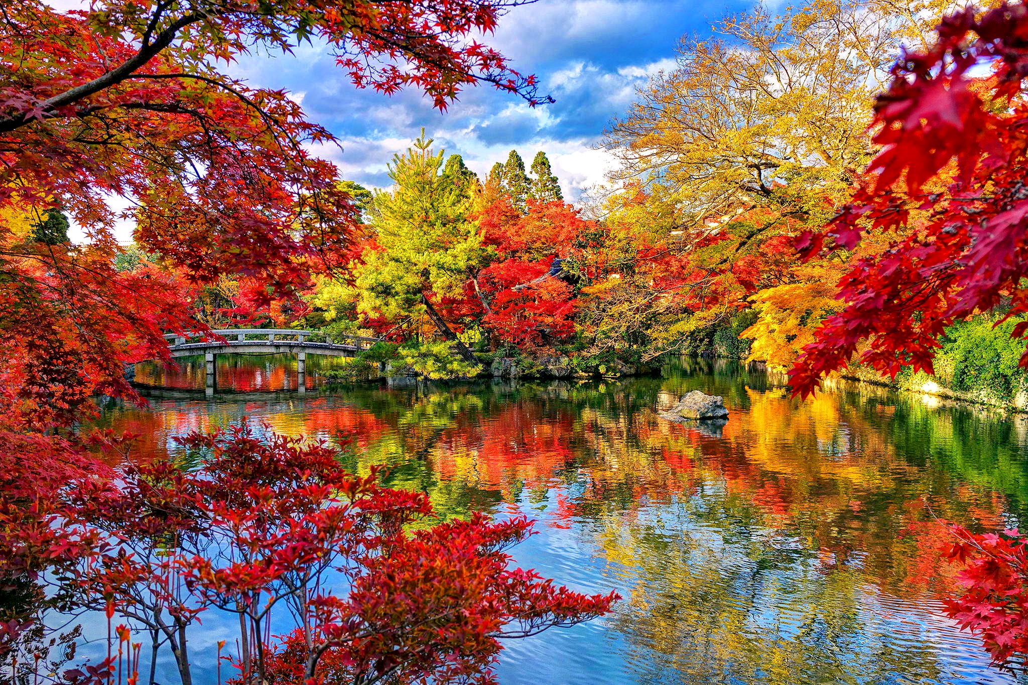garden, japanese garden, park, man made, bridge, fall, forest, lake, tree