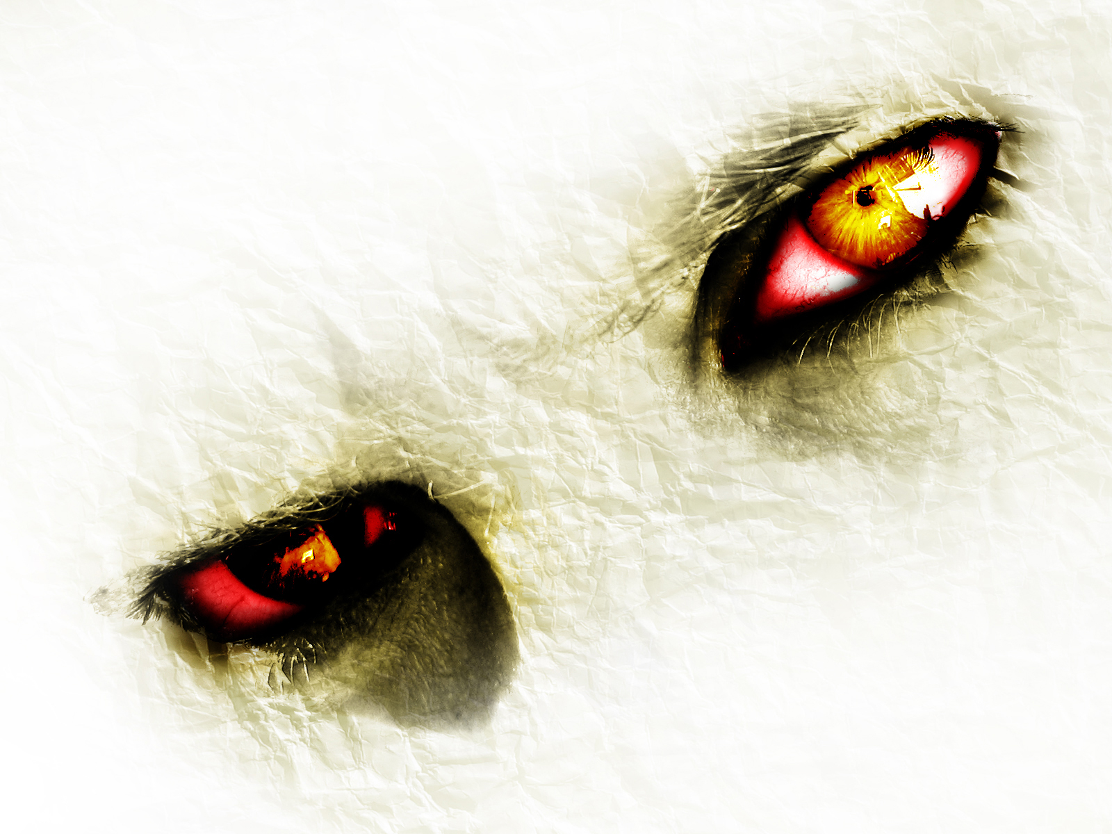 Злые глаза животных