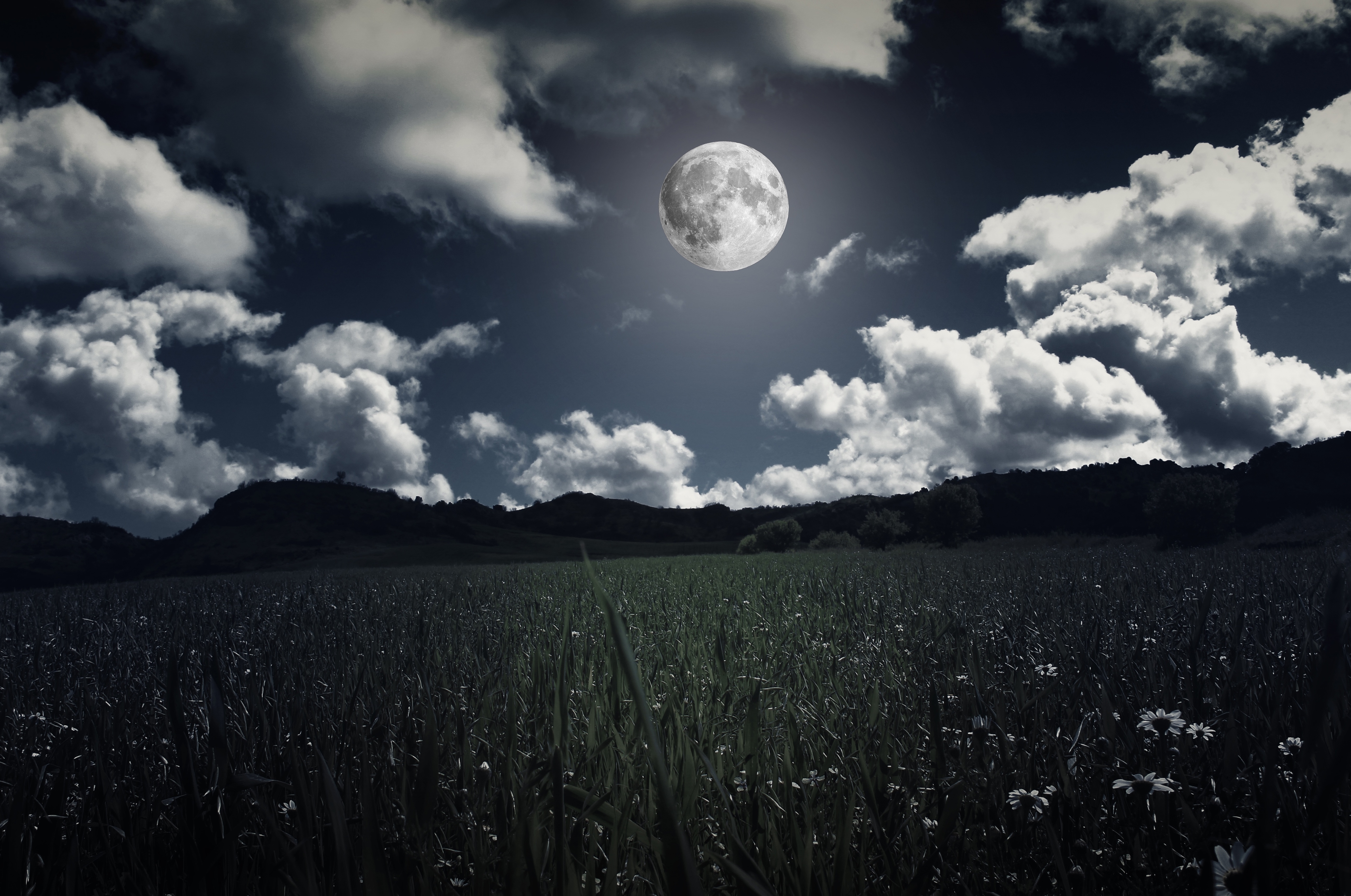 87312 завантажити шпалери місяць, трава, природа, хмари, поле, фотошоп, повний місяць - заставки і картинки безкоштовно