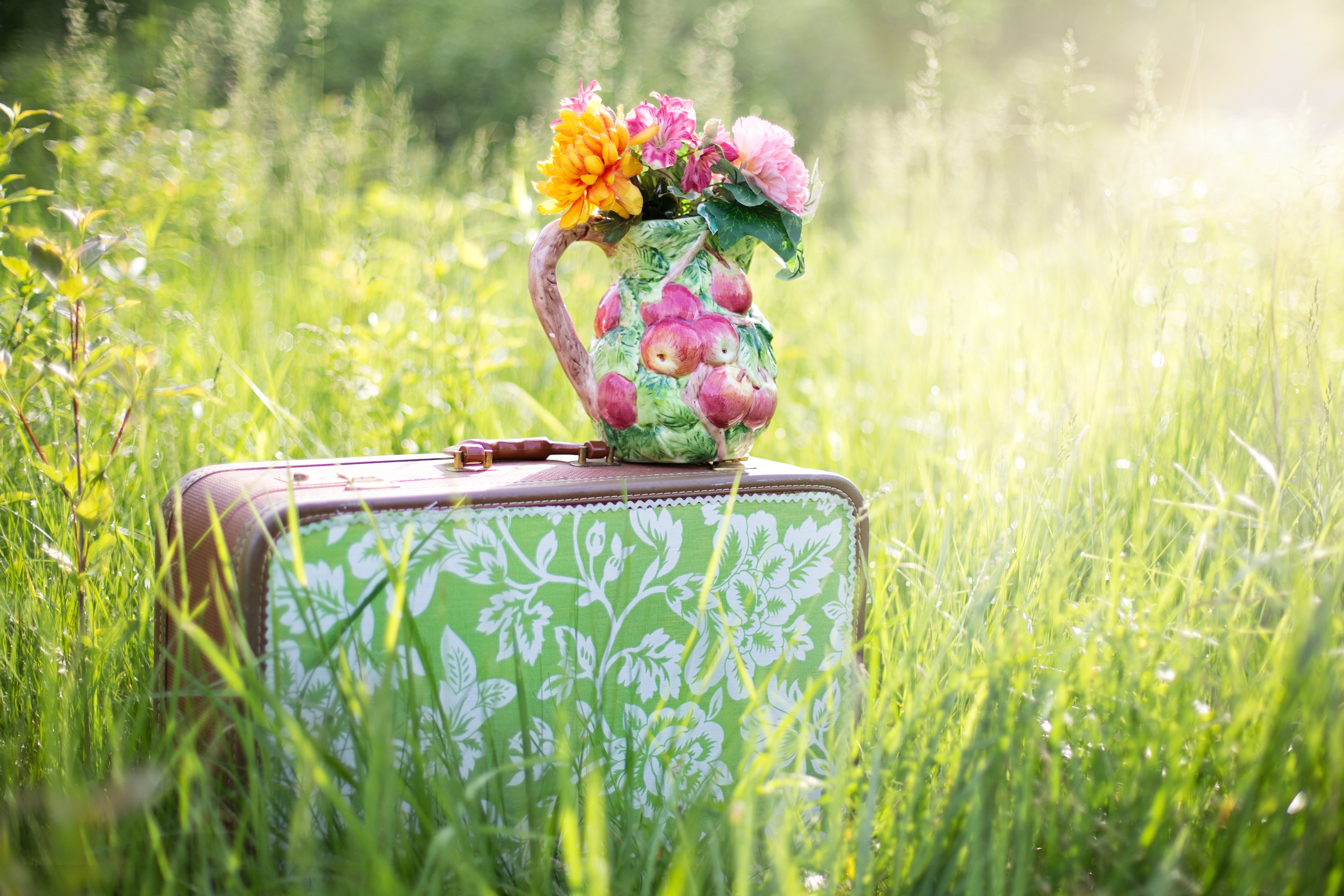 Handy-Wallpaper Koffer, Grass, Vase, Blumen kostenlos herunterladen.