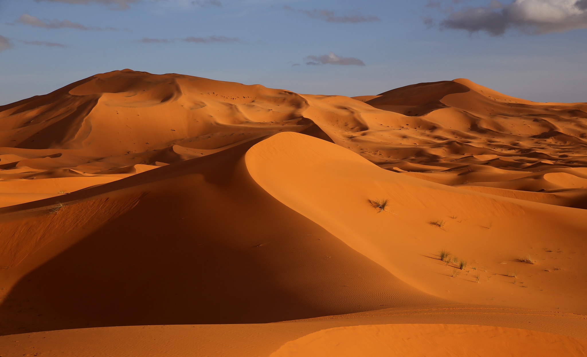 Неживая природа в пустыне. Пустыня Кызылкум фото. Пейзаж пустыни Кызылкум. Нубийская пустыня. Дюны пустыня Узбекистан.