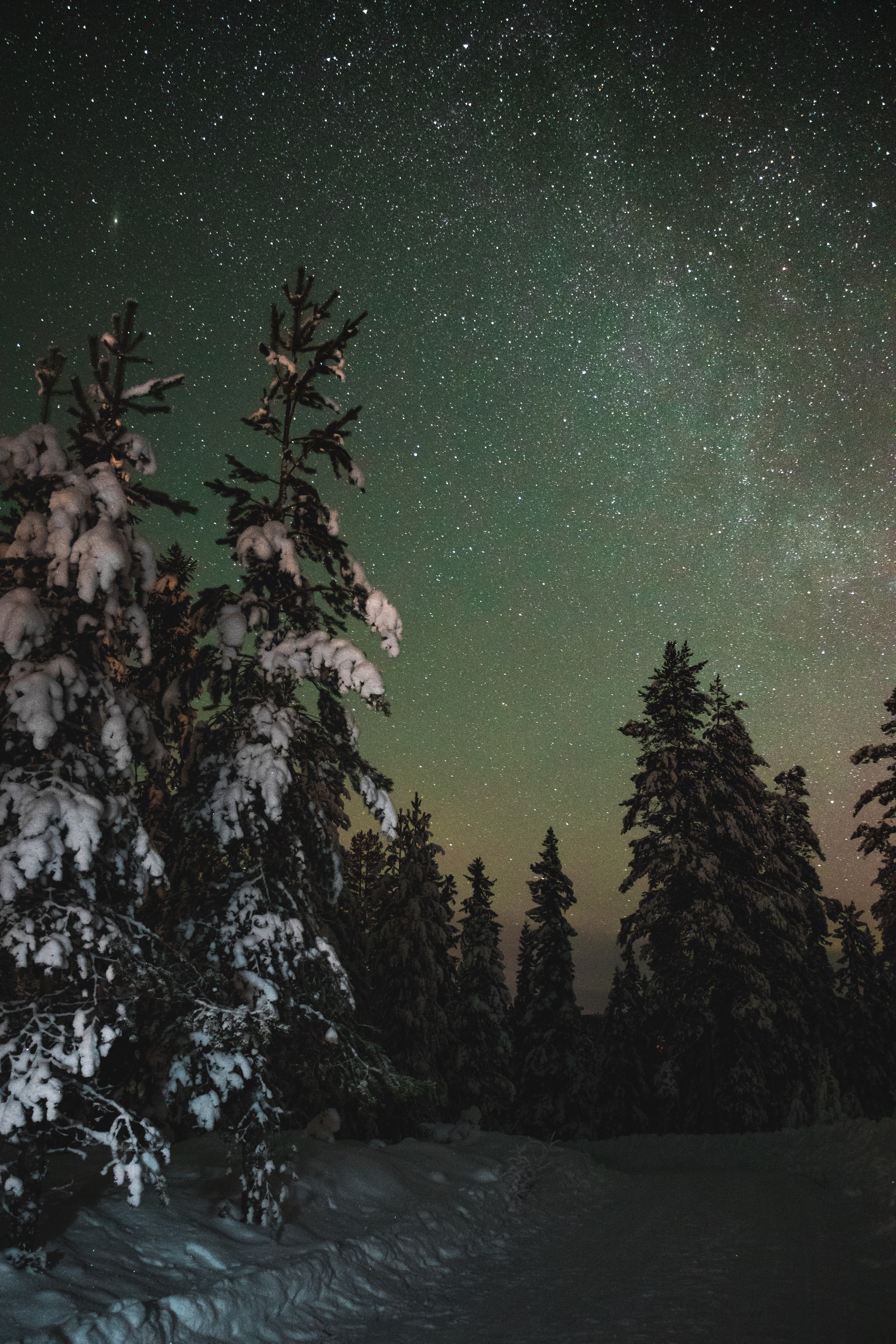 Download mobile wallpaper Trees, Winter, Stars, Nature, Starry Sky, Night, Snow for free.