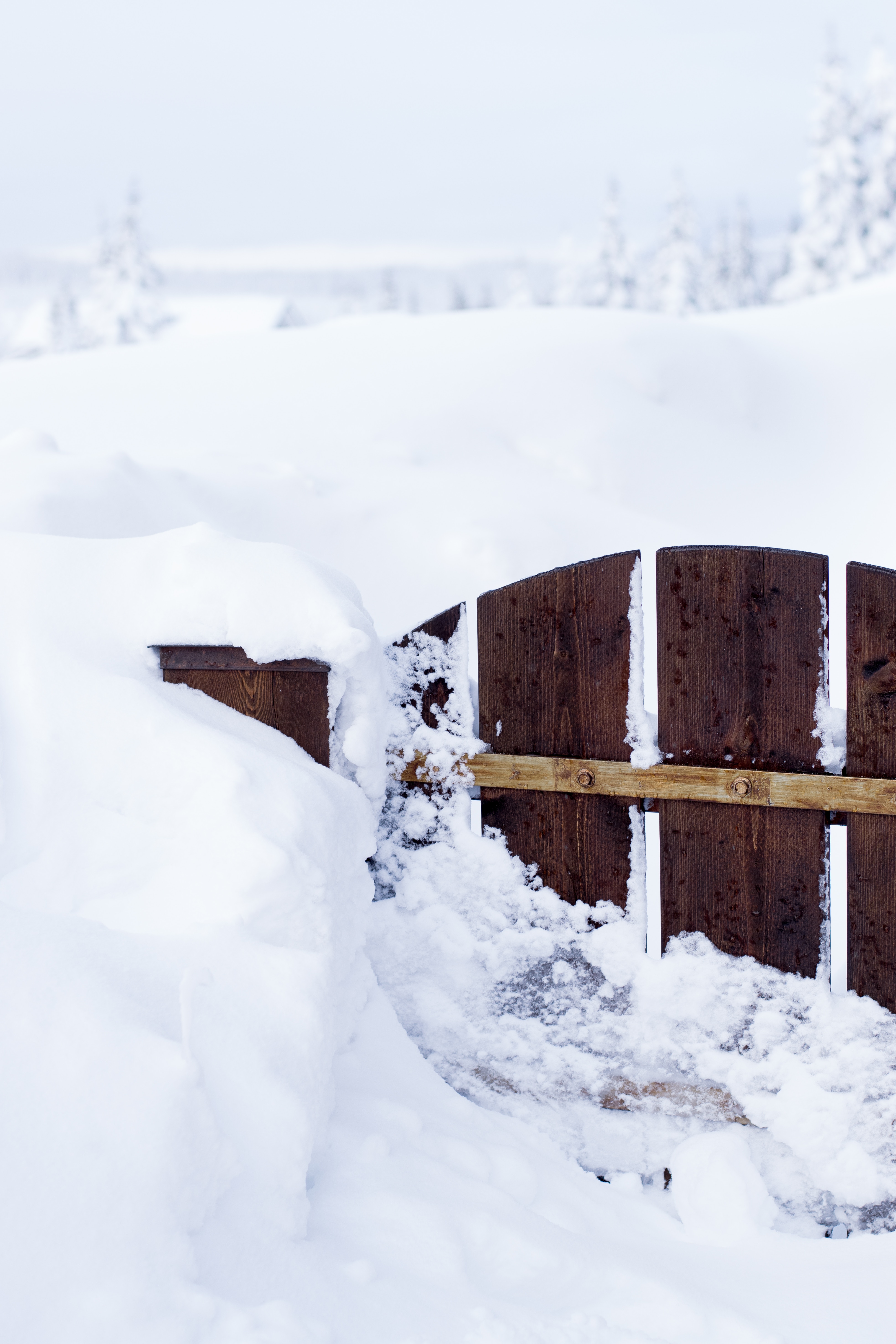 Laden Sie das Natur, Zaun, Tor, Wicket, Schnee, Winter-Bild kostenlos auf Ihren PC-Desktop herunter
