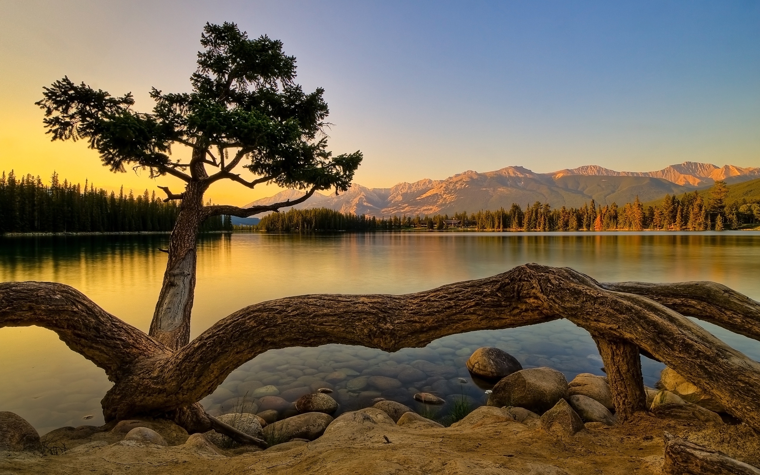lakes, landscape, water, trees HD wallpaper