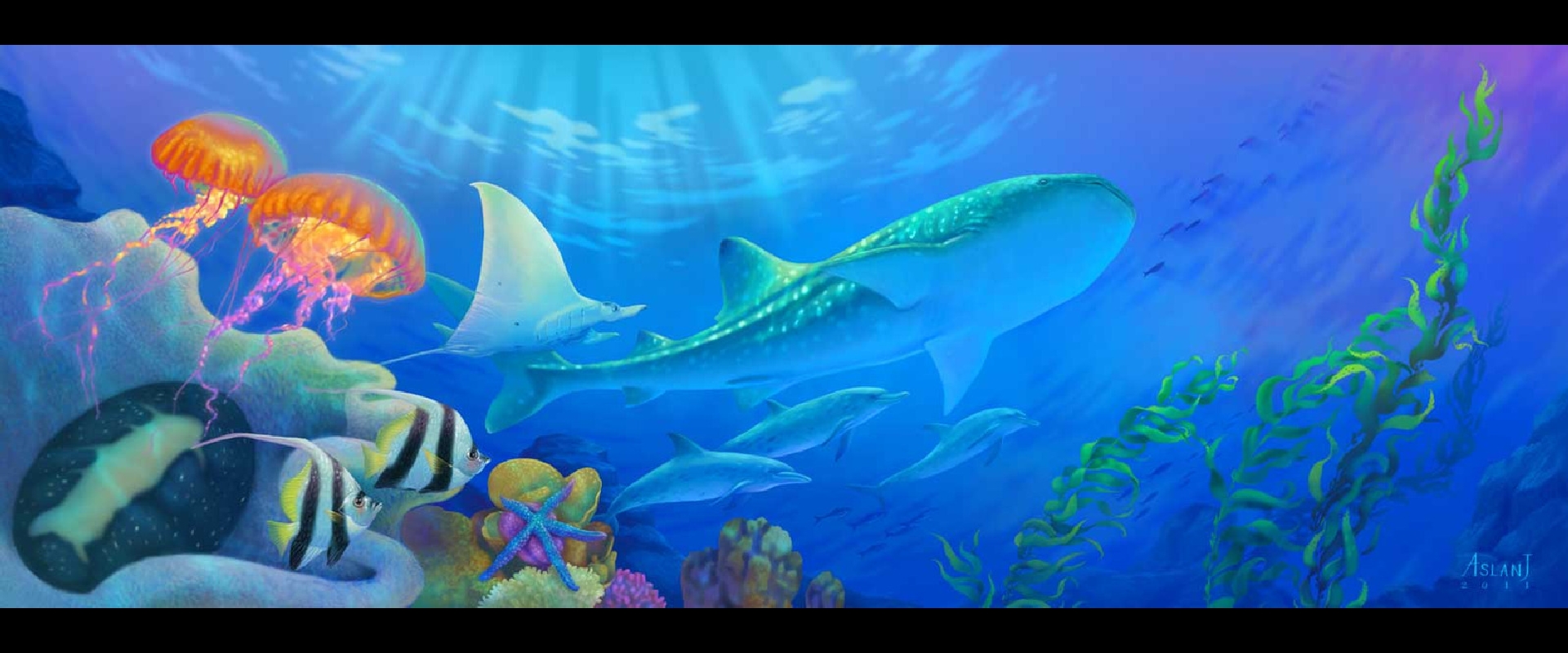 Ultrawide Wallpapers Underwater 