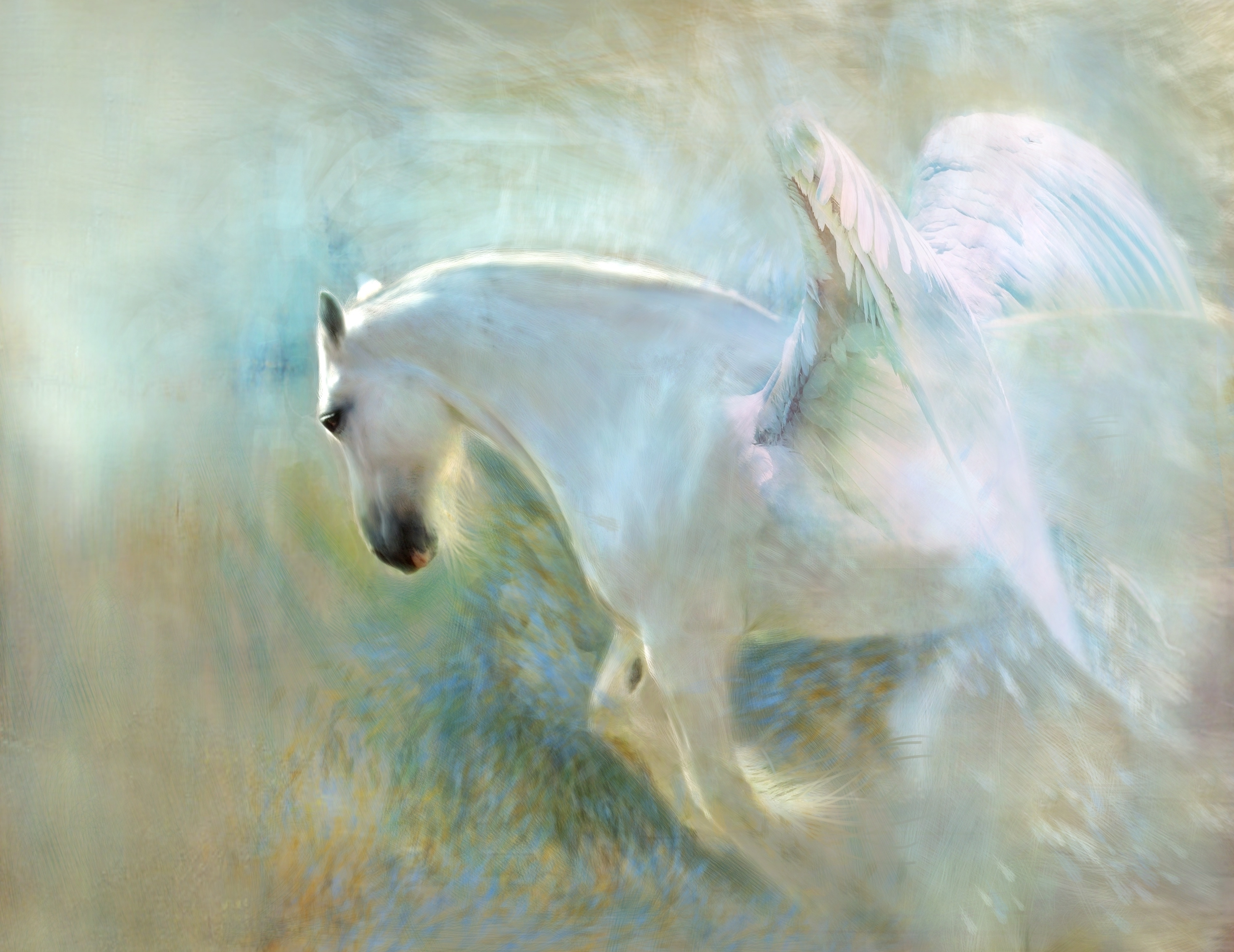 Светлая картина. Светлая живопись. Лошадь ангел. Кони в живописи. Конь с крыльями.