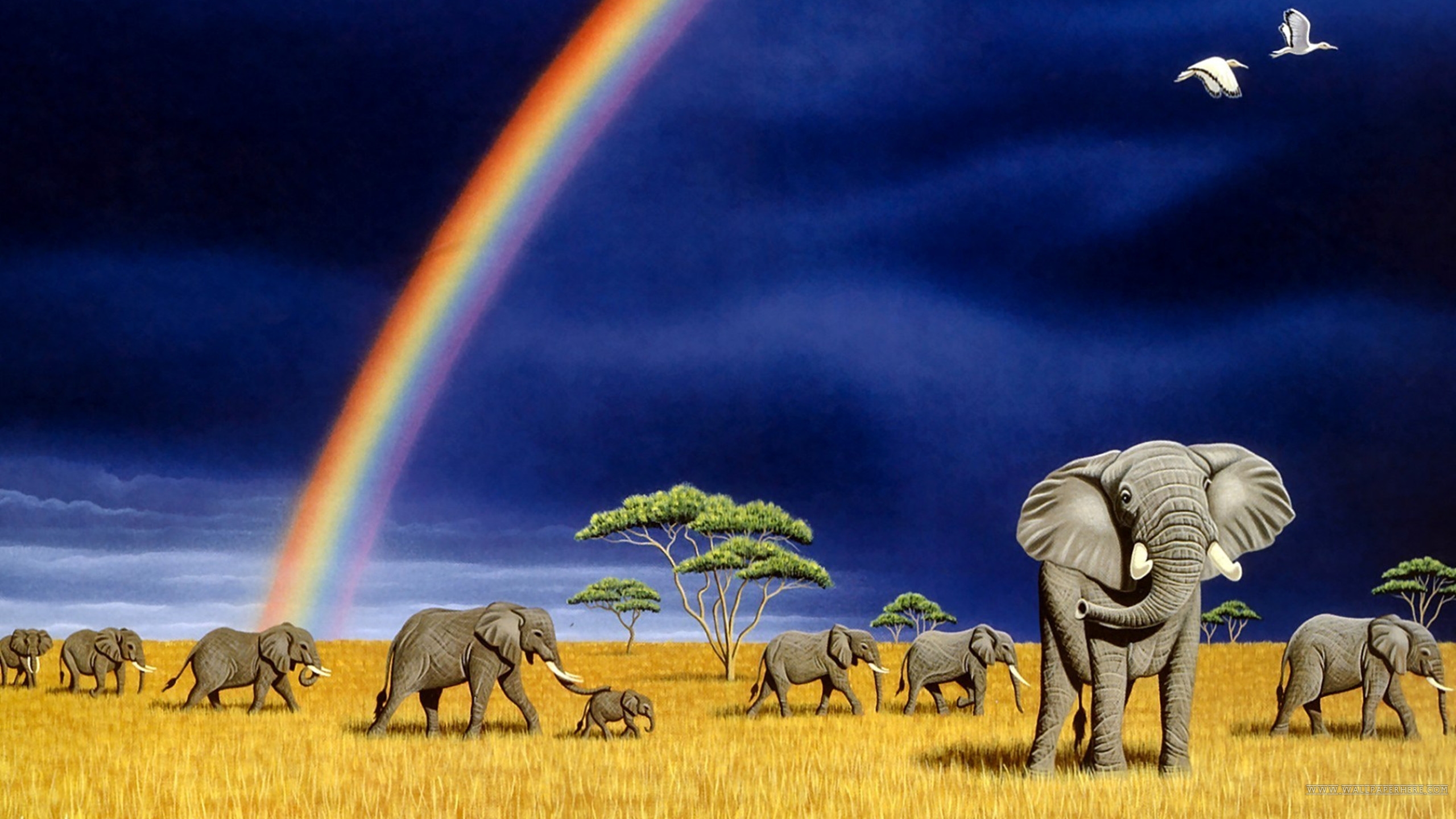 324785 завантажити шпалери африканський чагарниковий слон, слони, тварина - заставки і картинки безкоштовно
