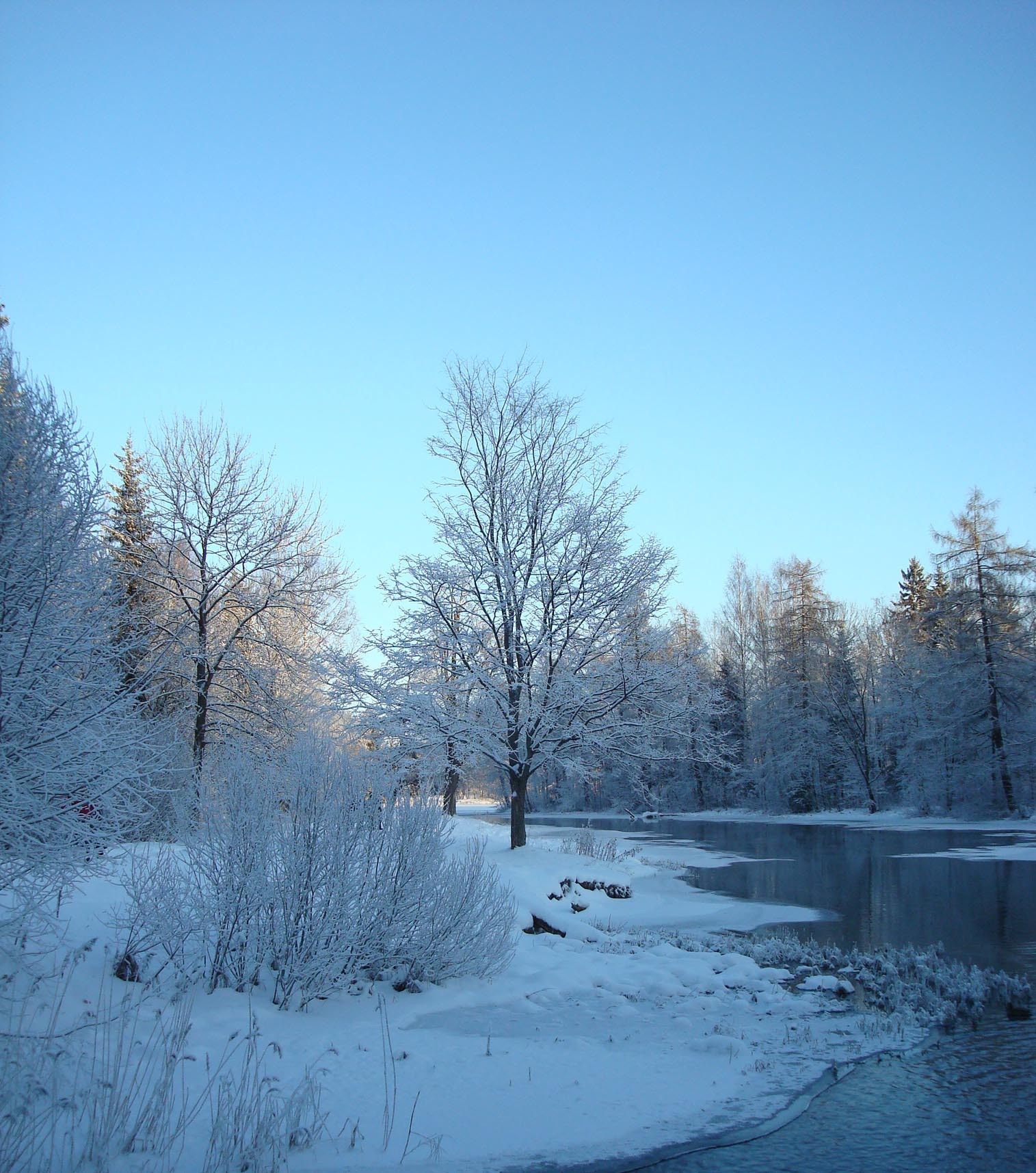 Скачать картинку Река, Деревья, Снег, Зима, Пейзаж в телефон бесплатно.
