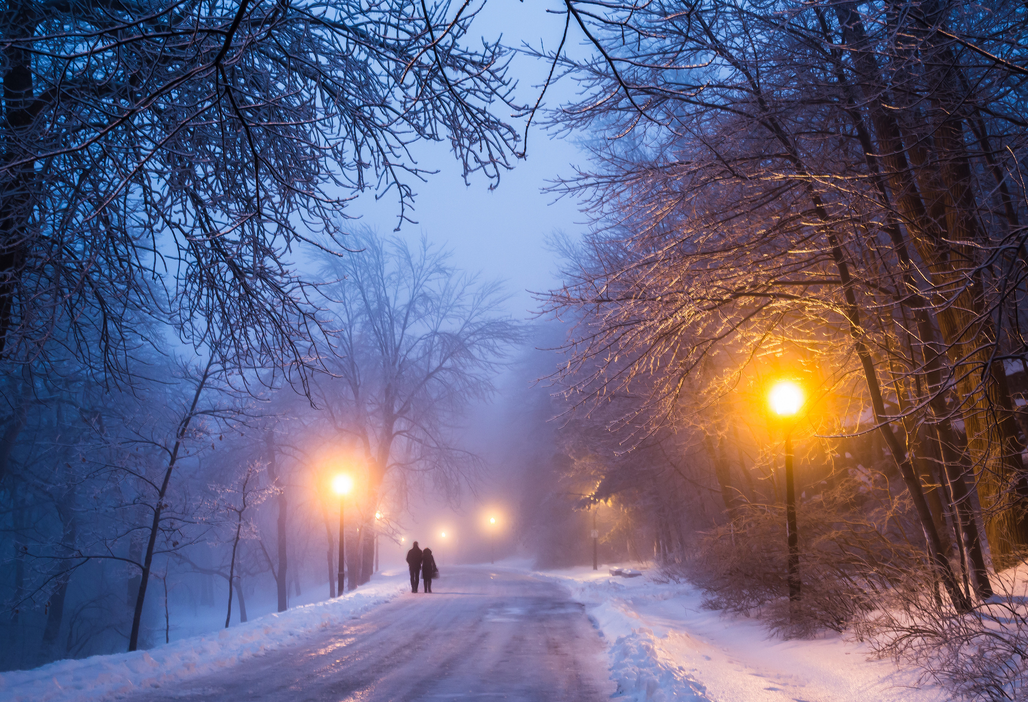 Снежок на дорогу падает. Зимний вечер. Зима ночь. Зимний ночной пейзаж. Красивый снегопад.